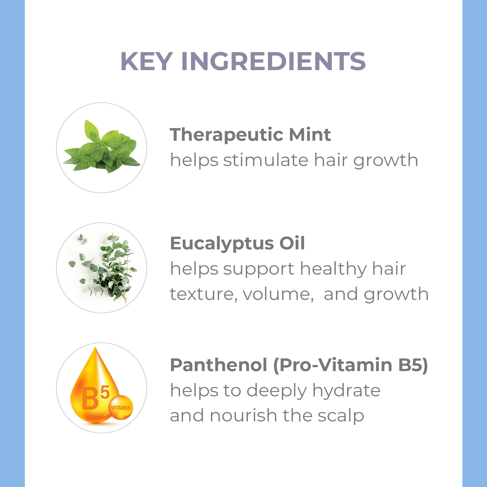 Derma E Thickening Shampoo for Thinning Hair – Natural Hair Growth Shampoo – Sulfate Free Therapeutic Mint and Herbal Volumizing Shampoo, 10 oz