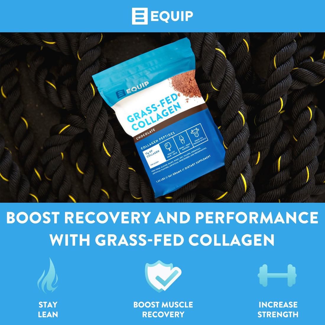 Equip Foods Grass Fed Collagen Powder | Hydrolyzed Bovine Collagen Peptides with Amino Acids | Prime Beef Collagen for Healthy Joints, Skin & Nails | Non-GMO, Paleo Friendly | 30 Servings, Chocolate