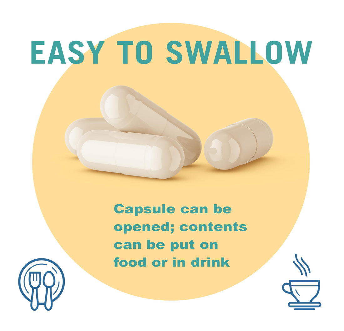 Houston Enzymes – Zyme Prime – 90 Capsules – Professionally Formulated to Support Digestion of Carbohydrates & Fats – Enhanced with Lactase for Lactose Intolerance – Helps Relieve Gas & Bloating