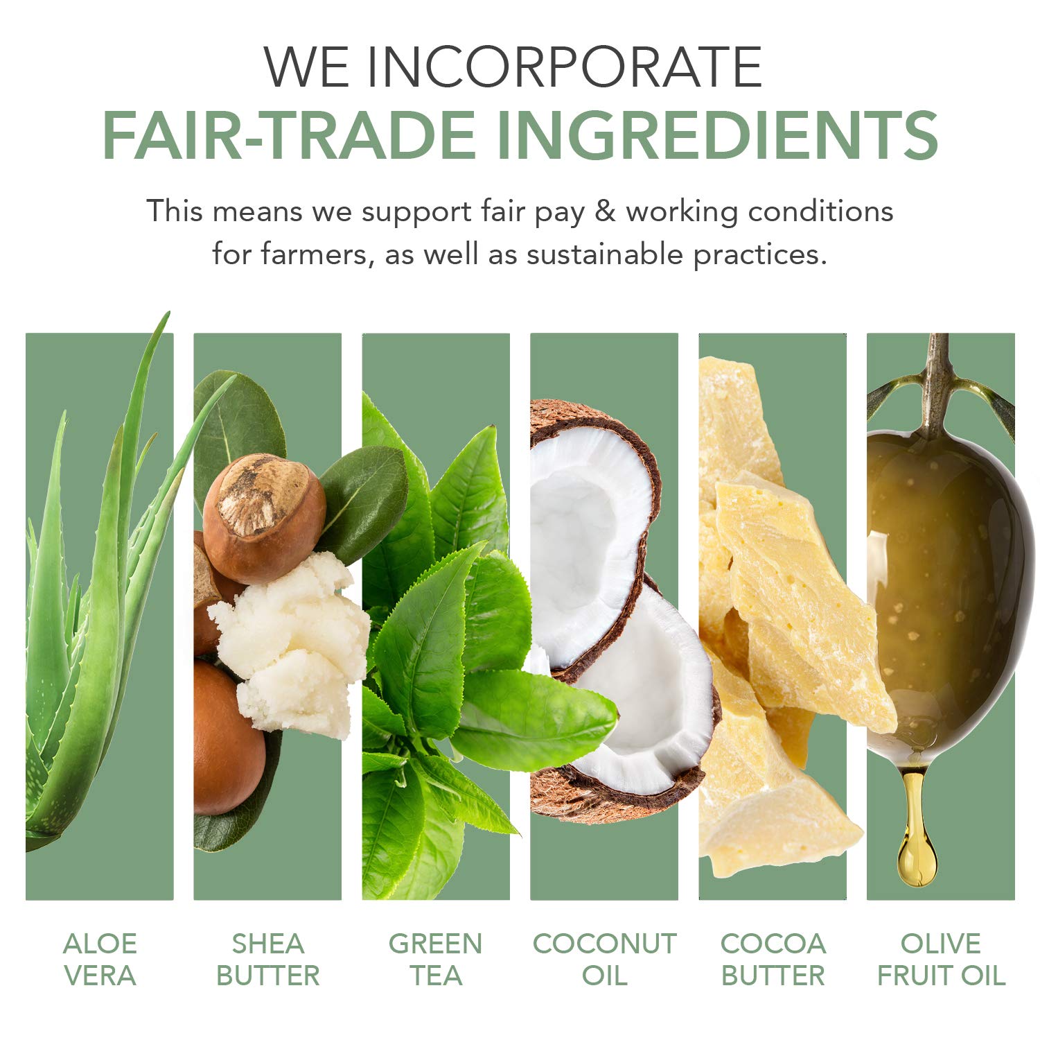 emerginC - Pomegranate Gel Cleanser, Makeup Remover and Face Wash with Plant & Herbal Extracts for All Skin Types, 240ml / 8.1oz by EmerginC