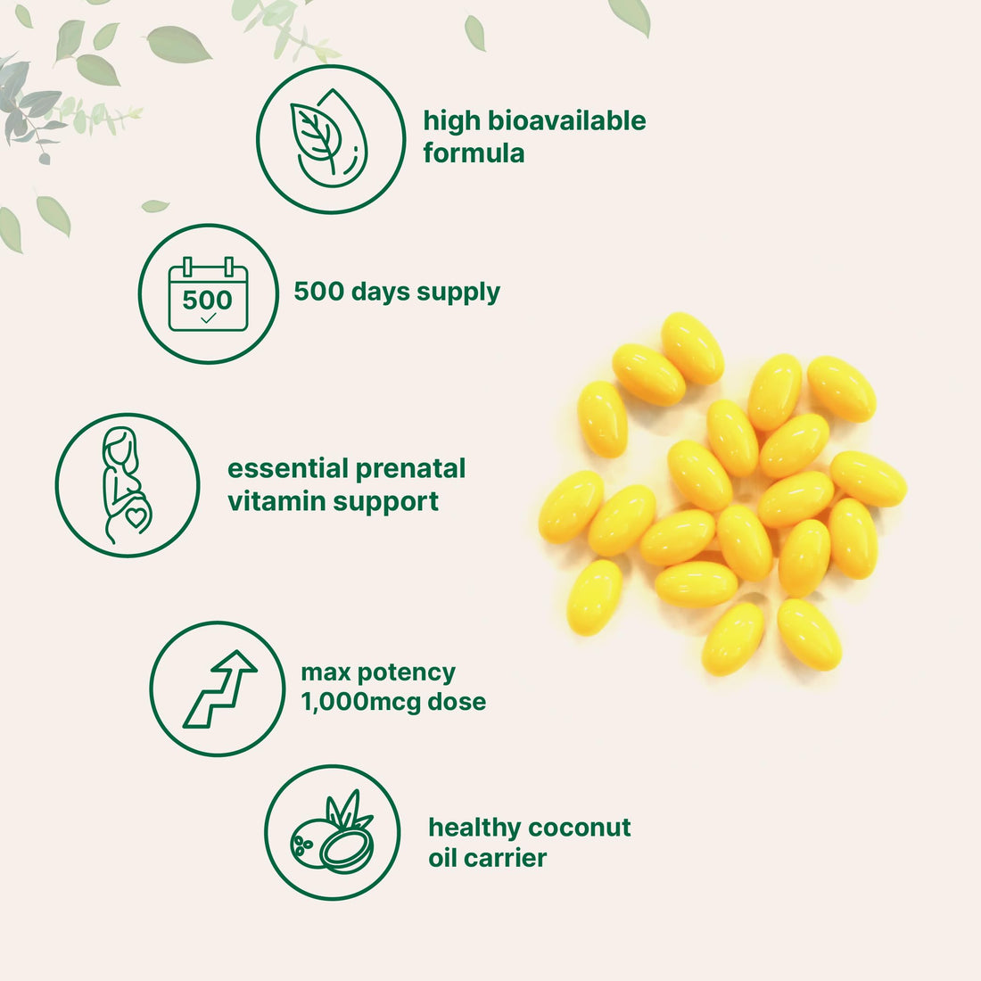 Folic Acid 1,000 mcg, 500 Coconut Oil Softgels (1mg) | Essential Prenatal Vitamins (Vitamin B9) | 1,667 mcg DFE | Third Party Tested, No Artificial Colors or Flavors | Non-GMO, Gluten Free