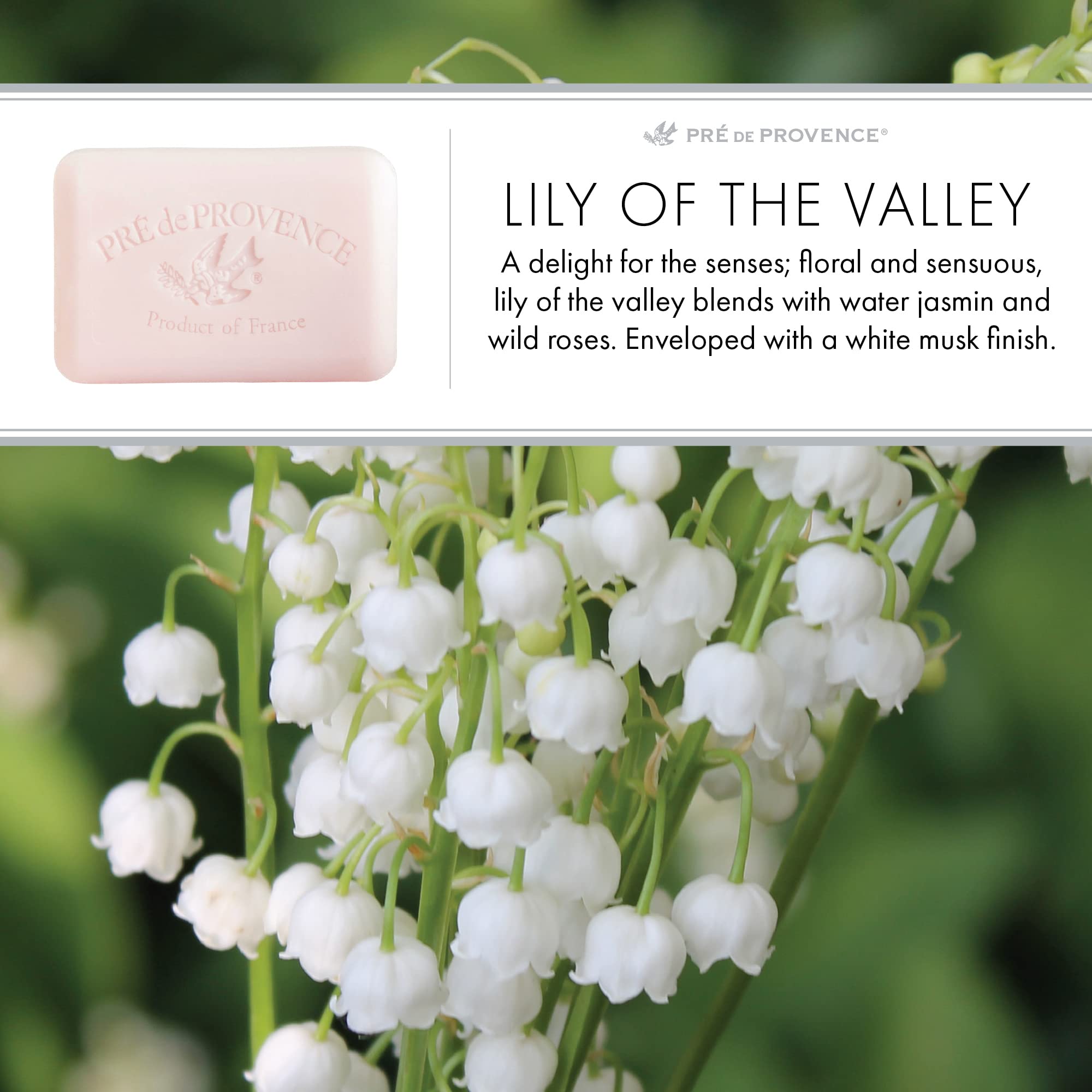 Pre de Provence Artisanal French Soap Bar Enriched sith Shea Butter, Lily of The Valley, 150 Gram