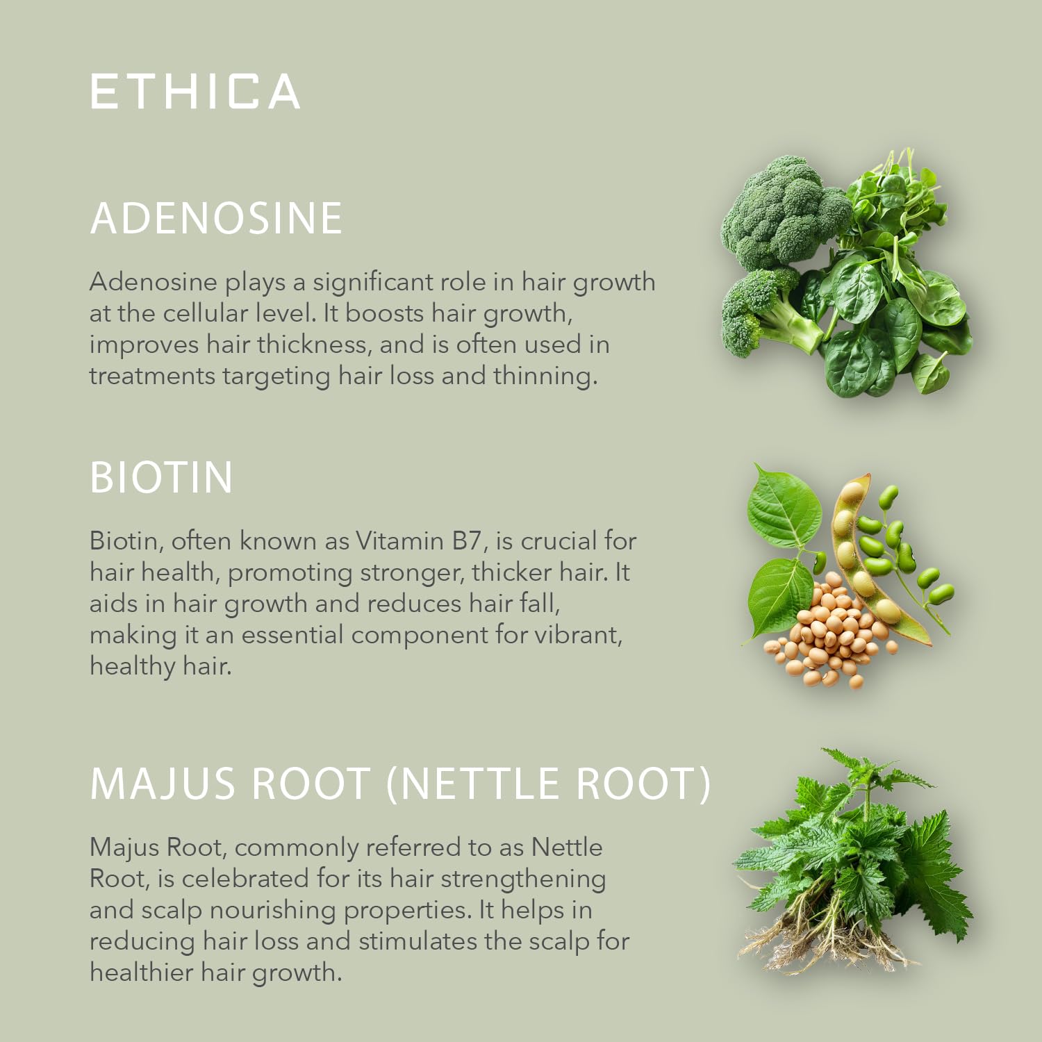 Mens Hair Growth. Professional Shampoo, Conditioner, & Daily Corrective Topical Treatment. Healthy Hair, Scalp Health, & Hair Regrowth. 1 Month Supply.