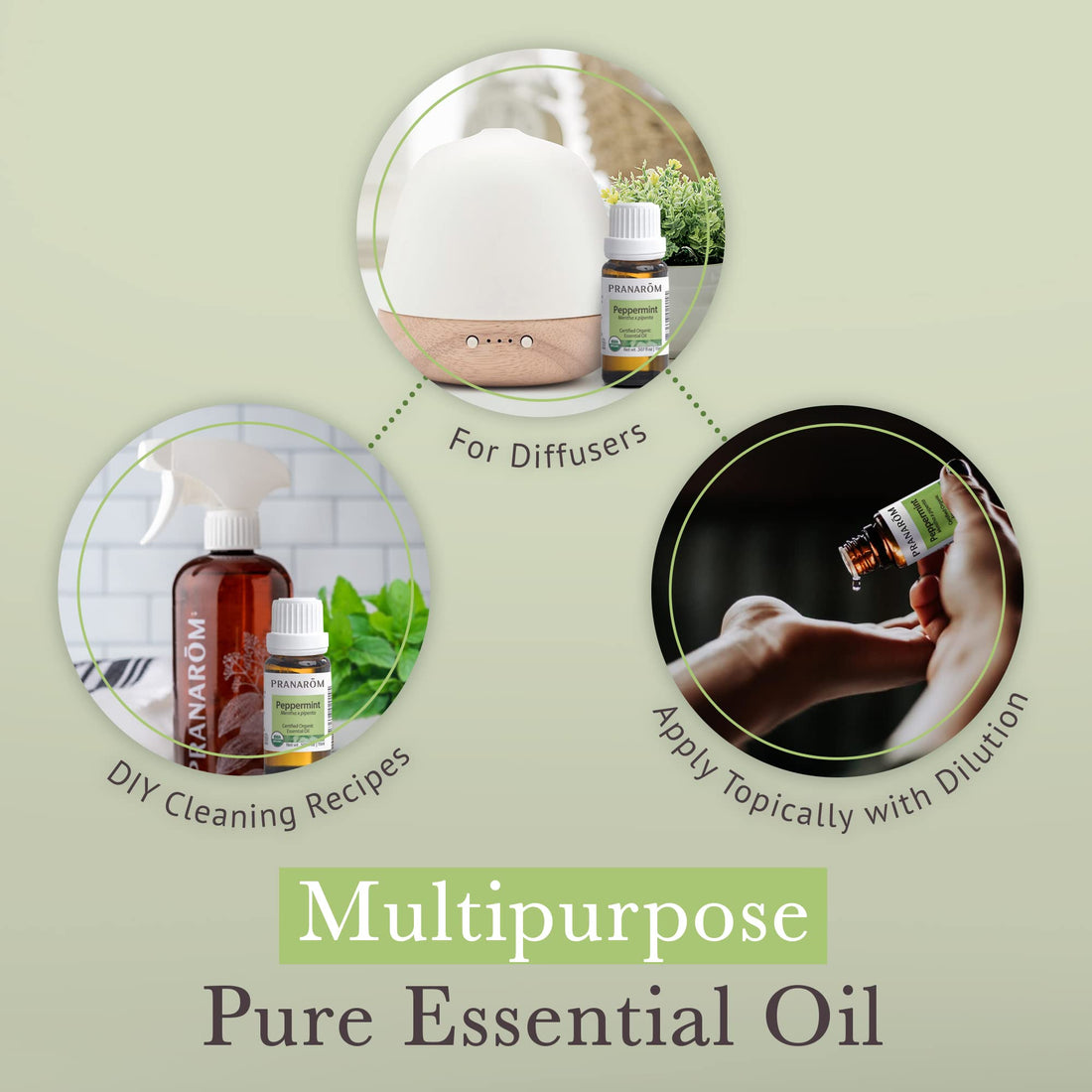 PranarC3B4m Organic Peppermint, 15Ml: Pranarom - Certified Usda And Ecocert Organic Peppermint 15Ml
