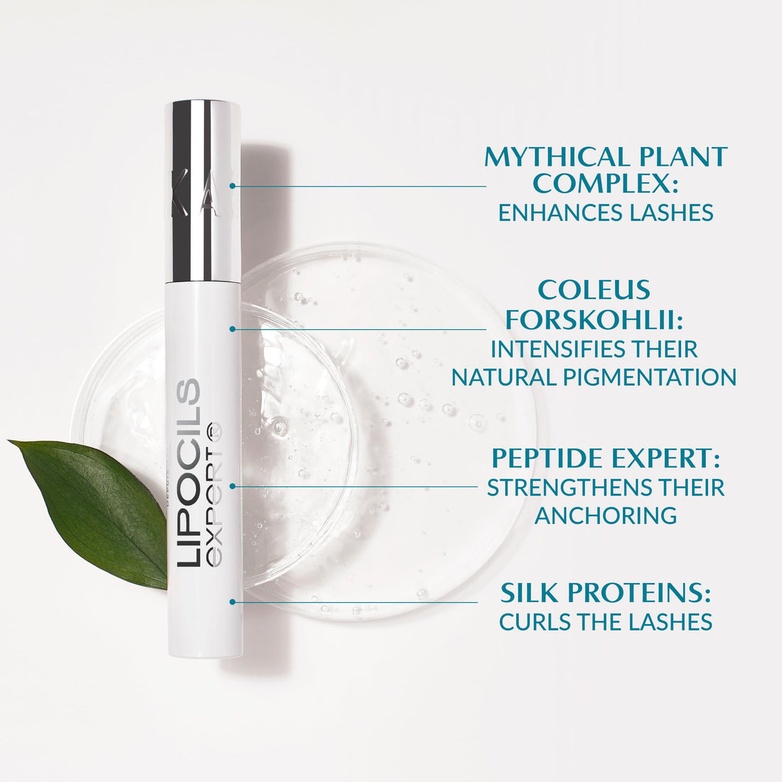 Talika Lipocils Expert Supplement