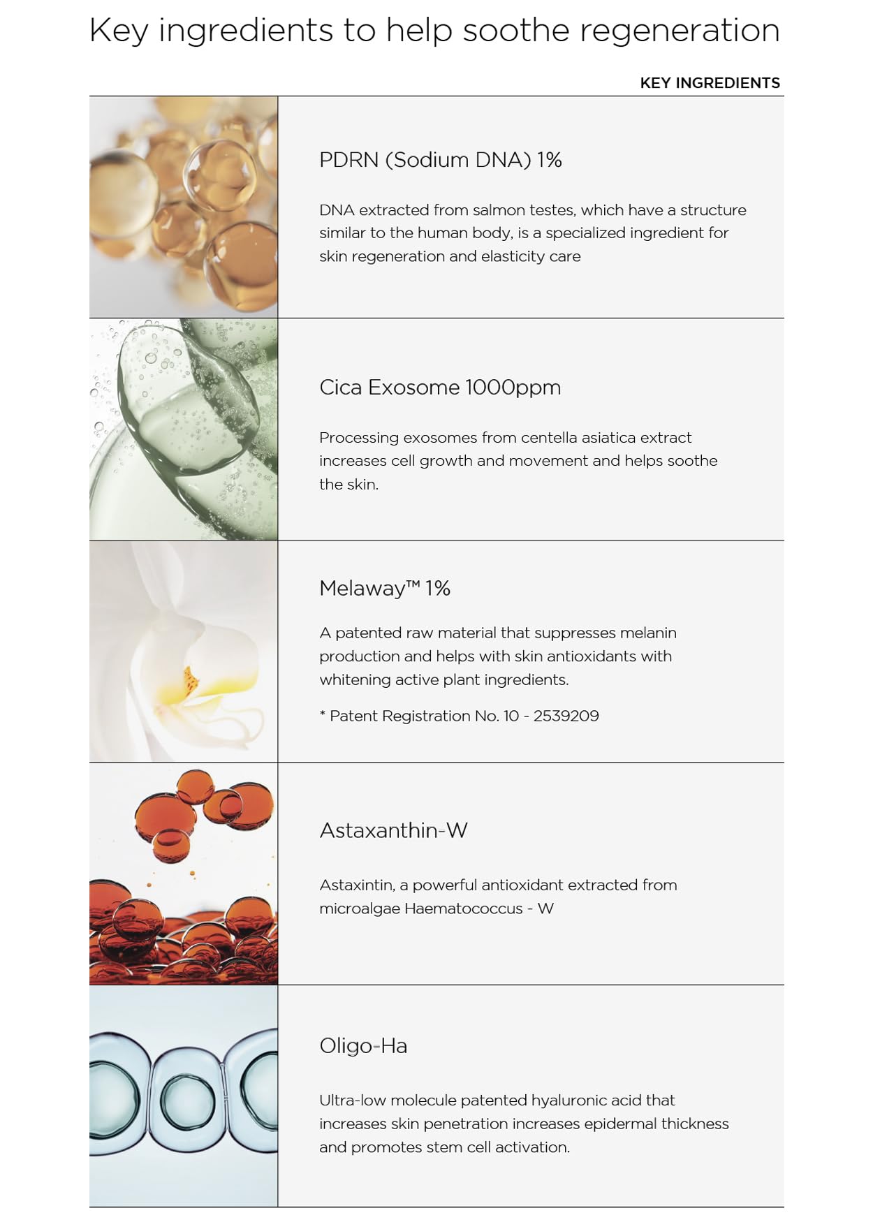 [FINDIVE OFFICIAL] PDRN CICA Exosome Serum, PDRN (Sodium DNA) 1%, Cica Exosome 1,000ppm, Marin Collagen, Soothes, Regenerates Skin, 1.69fl.oz