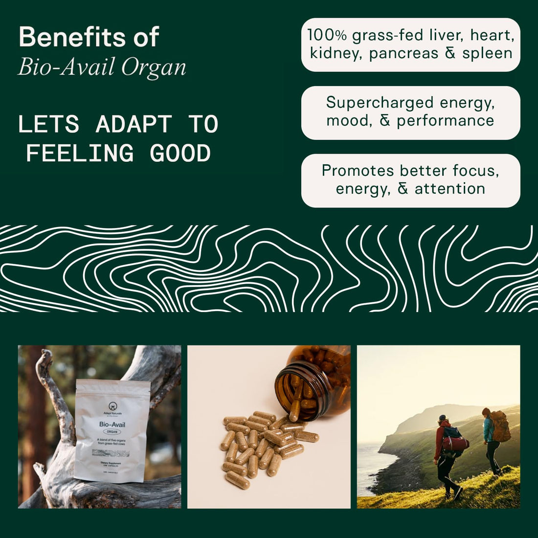 Adapt Naturals Organ Supplement, Bioavailable Grass Fed Beef Liver Capsules, Blend of Liver, Heart, Kidney, Pancreas & Spleen, Support Liver Cleanse Detox & Repair | Source of CoQ10-30 Days Supply