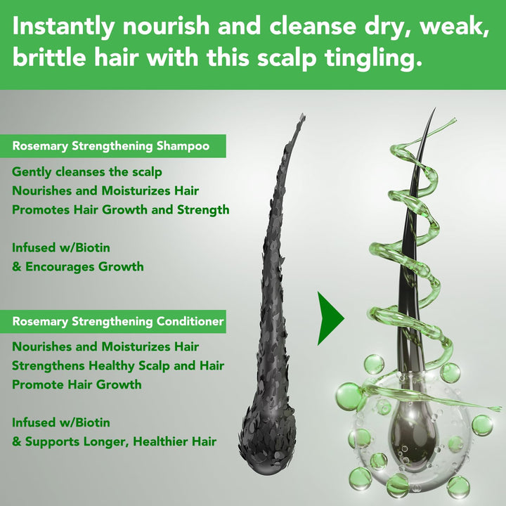 Rosemary Nourishing & Smoothing Shampoo and Conditioner Set for Thin Hair, Regrowth Formula for Women and Men, 2x10.56fl.oz Mint Strengthening Treatment for All Hair Types (2-in-1)