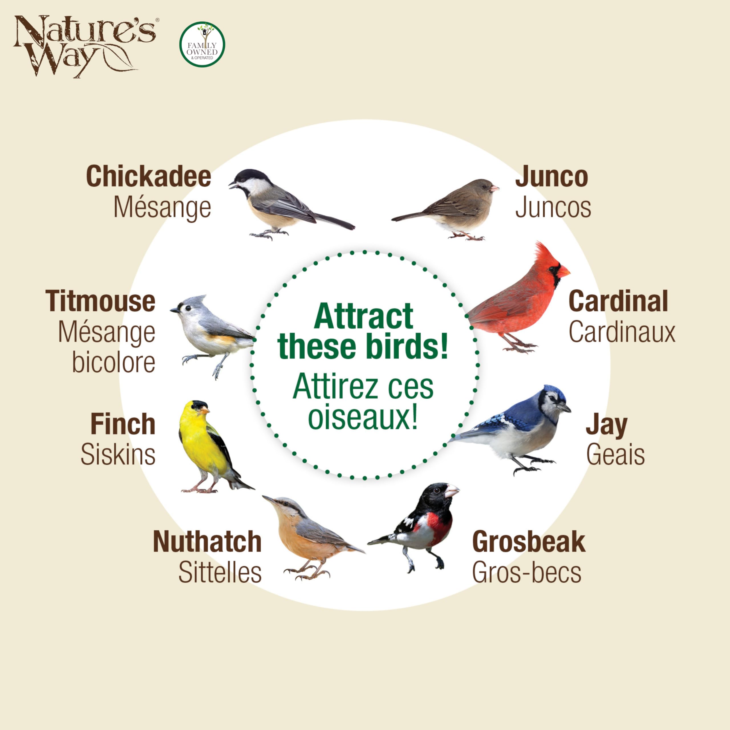 Nature's Way Perch If You Please Verdigris Metal Mesh Mixed Seed Bird Feeder for Wild Birds and Outdoor Décor, 2.5 Quart Capacity, Easy to Clean and Fill with Easy-Cling Mesh, Green