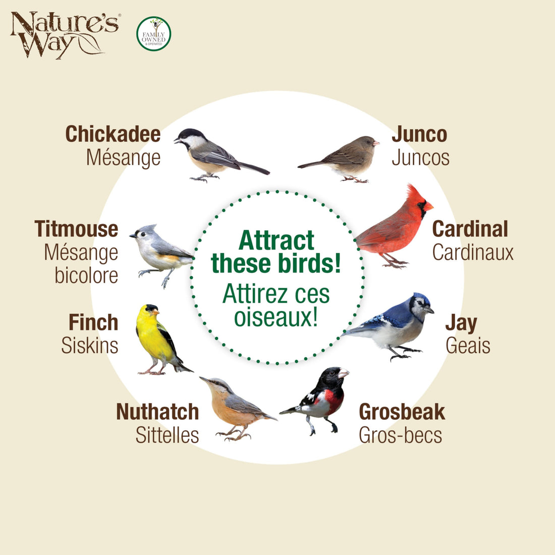 Nature's Way Perch If You Please Verdigris Metal Mesh Mixed Seed Bird Feeder for Wild Birds and Outdoor Décor, 2.5 Quart Capacity, Easy to Clean and Fill with Easy-Cling Mesh, Green