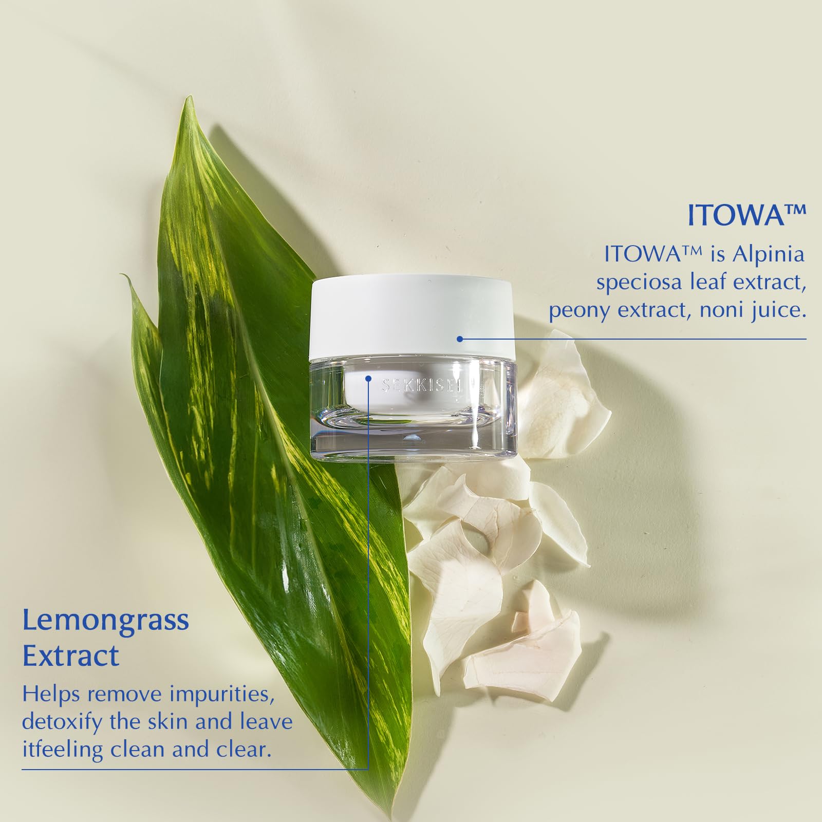 SEKKISEI CLEAR WELLNESS Overnight Repairing Face Cream 1.4 Ounce