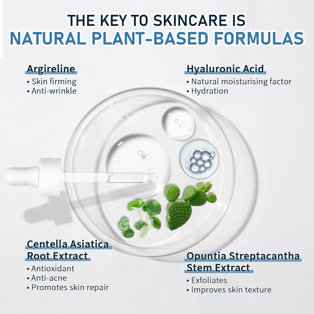 Argireline Serum with Hyaluronic Acid for Fine Lines, 30ml Argireline Solution 10 Percent Anti Aging, Anti Wrinkle and Tones Skin, Argireline Peptide for Deep Moisturizing