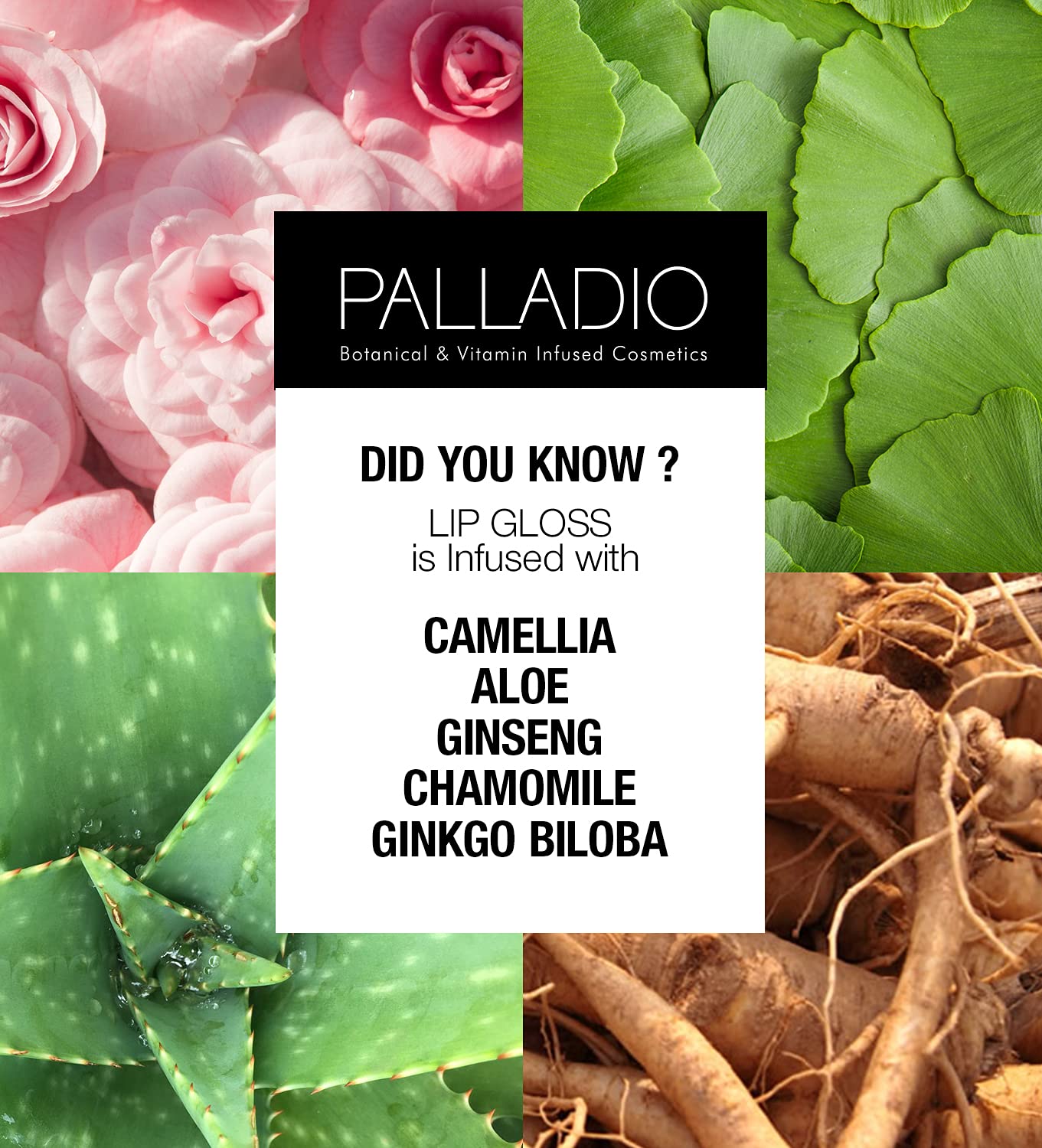 Palladio Lip Gloss, French Kiss