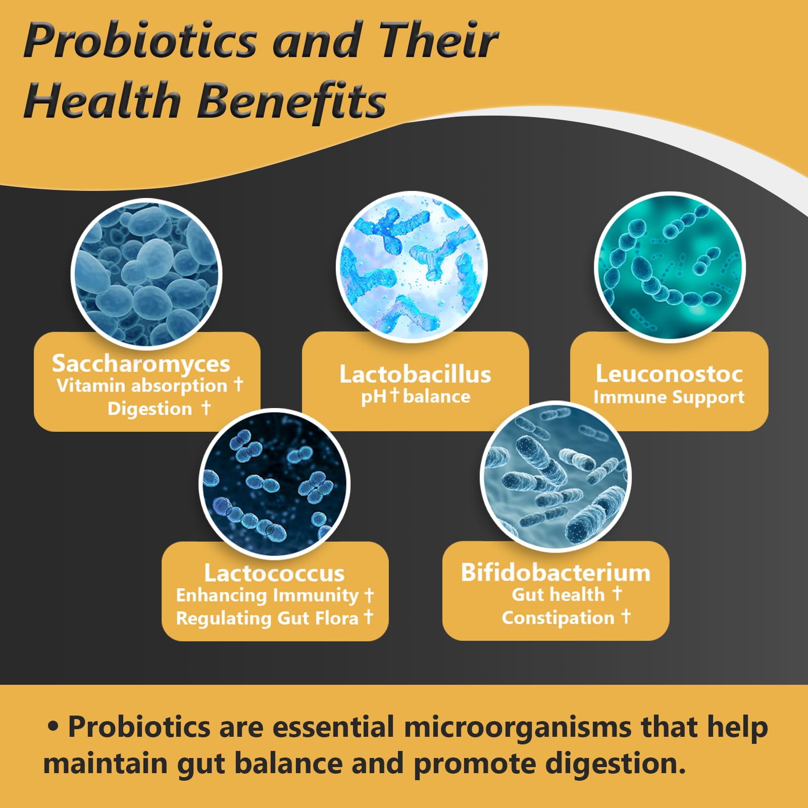 Probiotics with Prebiotics for Men and Women - 35 Strains Organic Probiotic 100 Billion CFU for Gut & Digestive Health, Vegan Acidophilus Probiotic Supplement, Non-GMO Raw Probiotic 60 Capsules