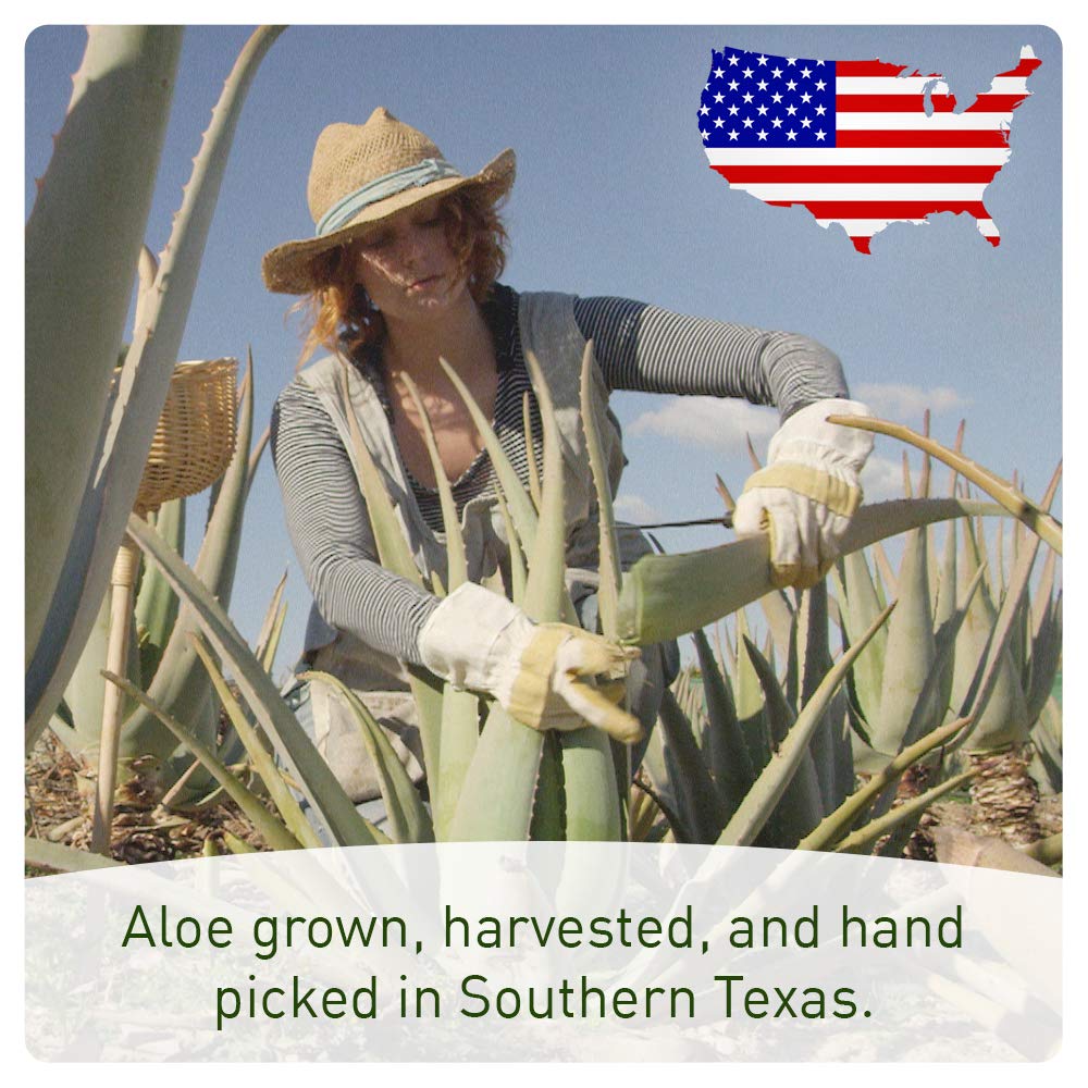 Aloe Vera SPRAY for Body & Hair - 99% ORGANIC, Made in USA, Big 12 oz - EXTRA Strong - SEE RESULTS OR - Easy to Apply - No THICKENERS so it Absorbs Rapidly with No Sticky Residue.