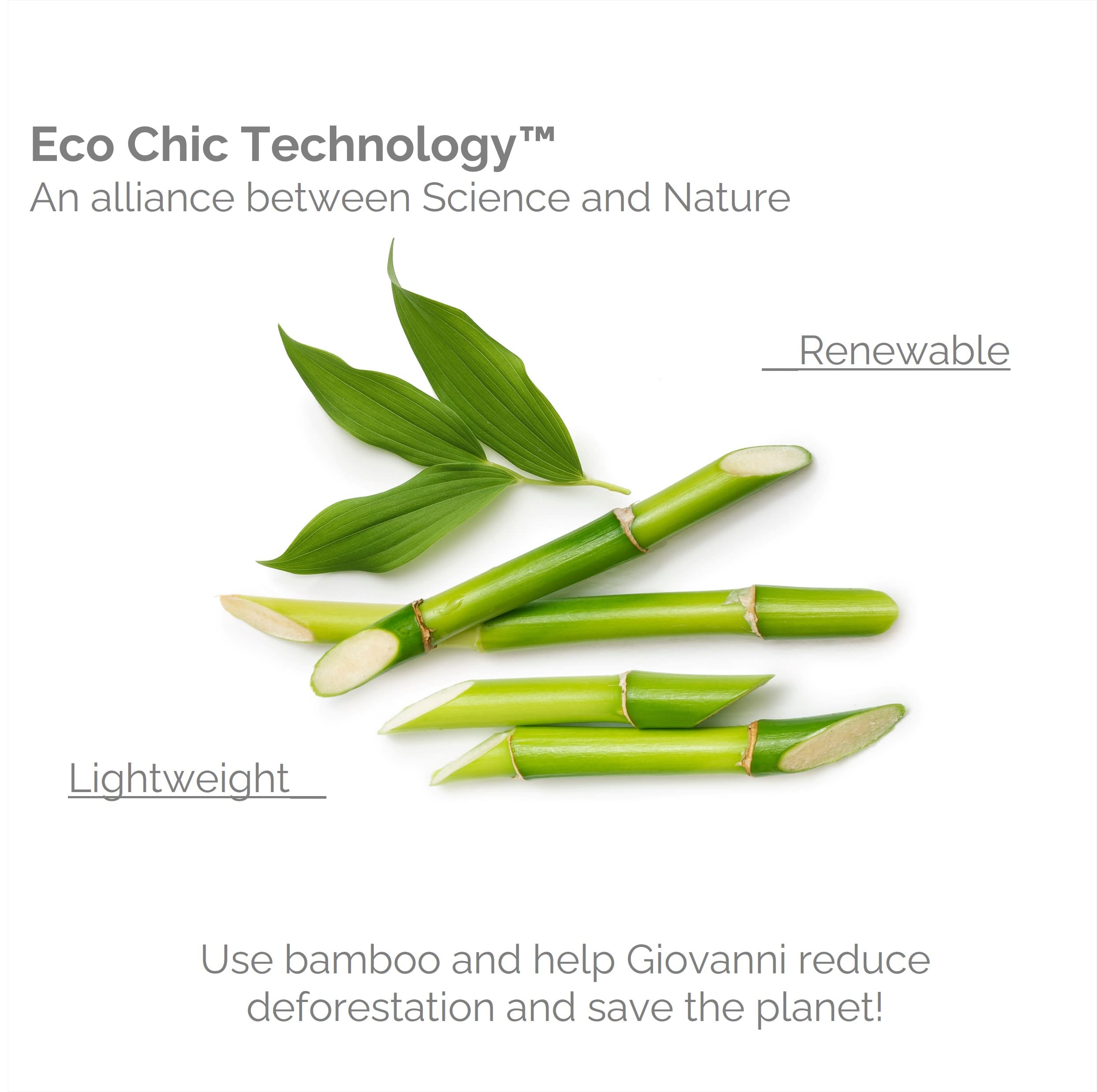 GIOVANNI 3 Round Thermal Hairbrush Ceramic Coated Barrel with Real Bamboo Handle Spacious Venting Perfect for Brushing Styling and Blow Drying Medium to Long Hair Great for Fine or Thick Hair, Beige