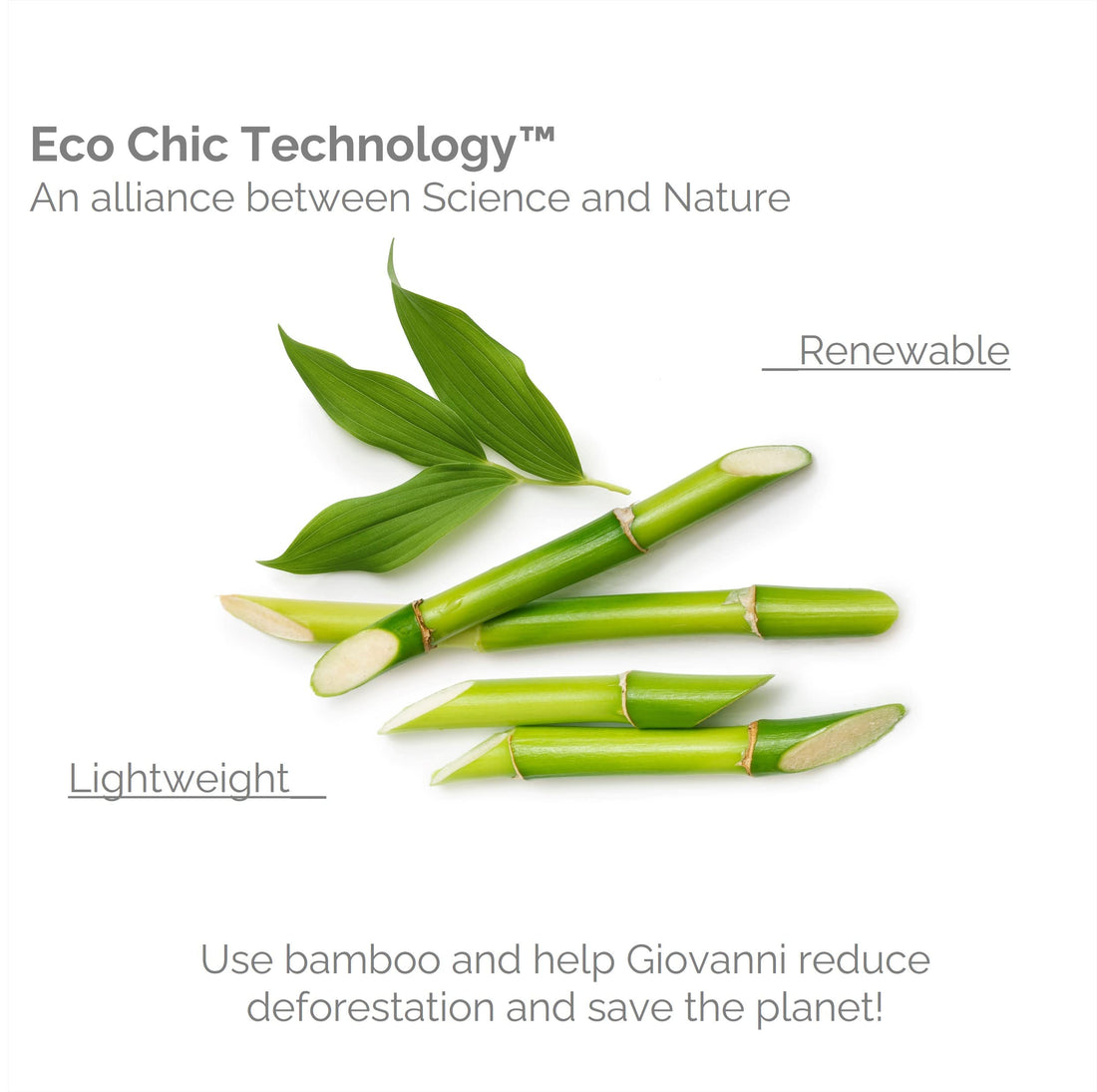 GIOVANNI Oval Hair Brush with Real Bamboo Handle and Base, Bristles Gently Detangle, Great for Fine or Thick, Curly or Straight Hair Types, Smoothing Tresses, Beige