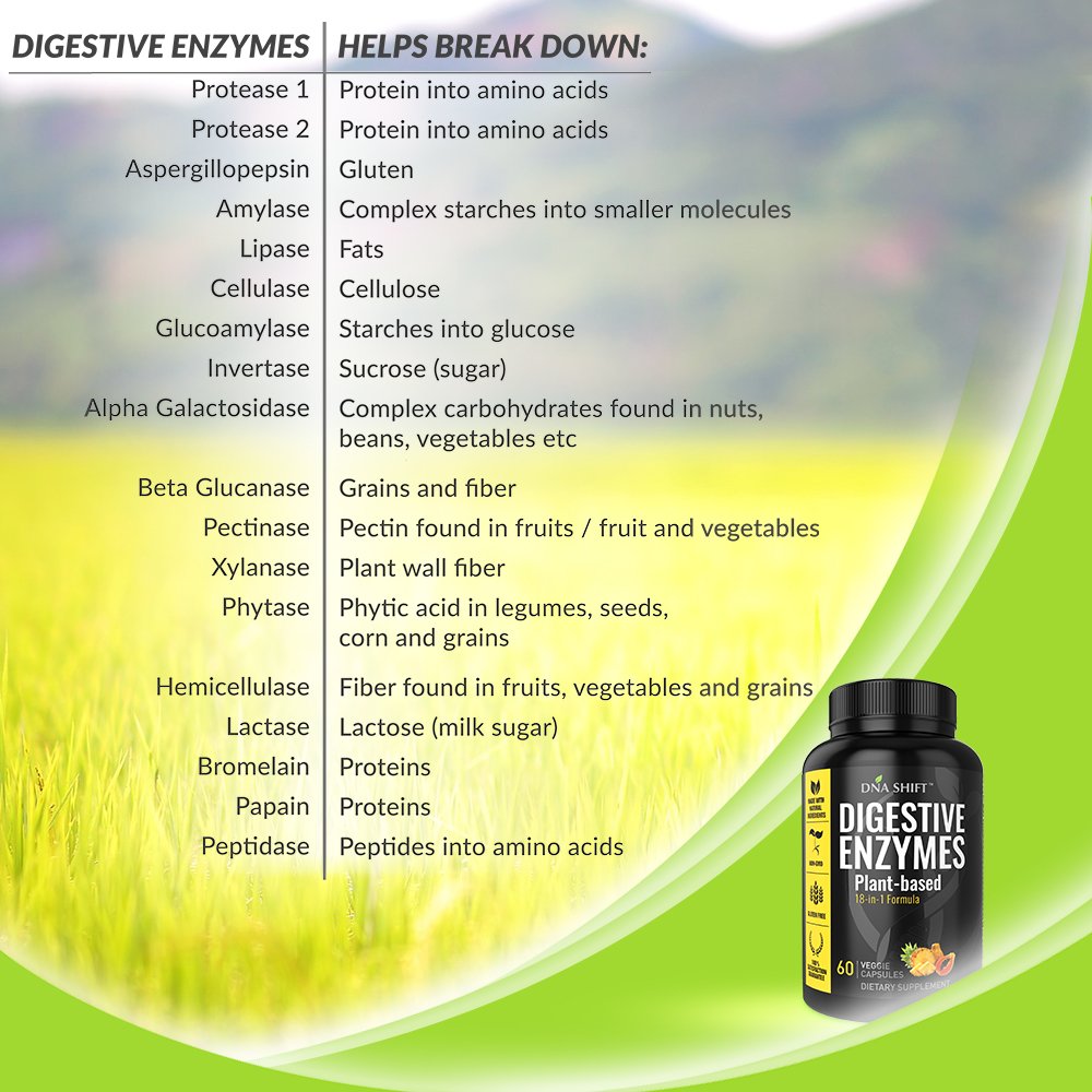 DNA SHIFT Digestive Enzymes for Men and Women - Enzymes Best for Gut Health & Digestive Health - Ultra Digestive Enzymes May Ease Constipation, Bloating & Gas - Mealtime Discomfort- All Diets - 60 CT