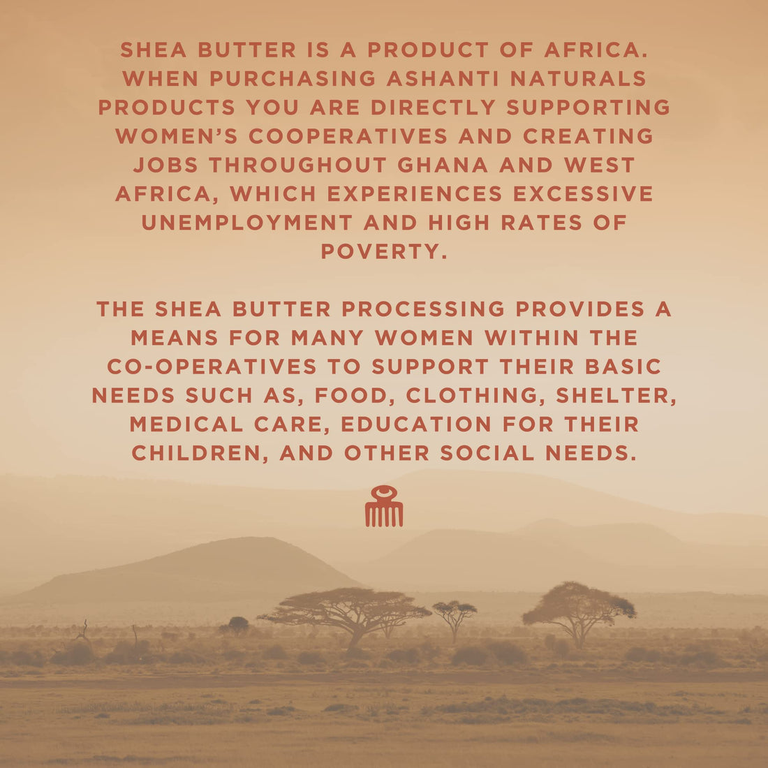 Ashanti Naturals Unrefined African Chunky Shea Butter - 5 oz - White