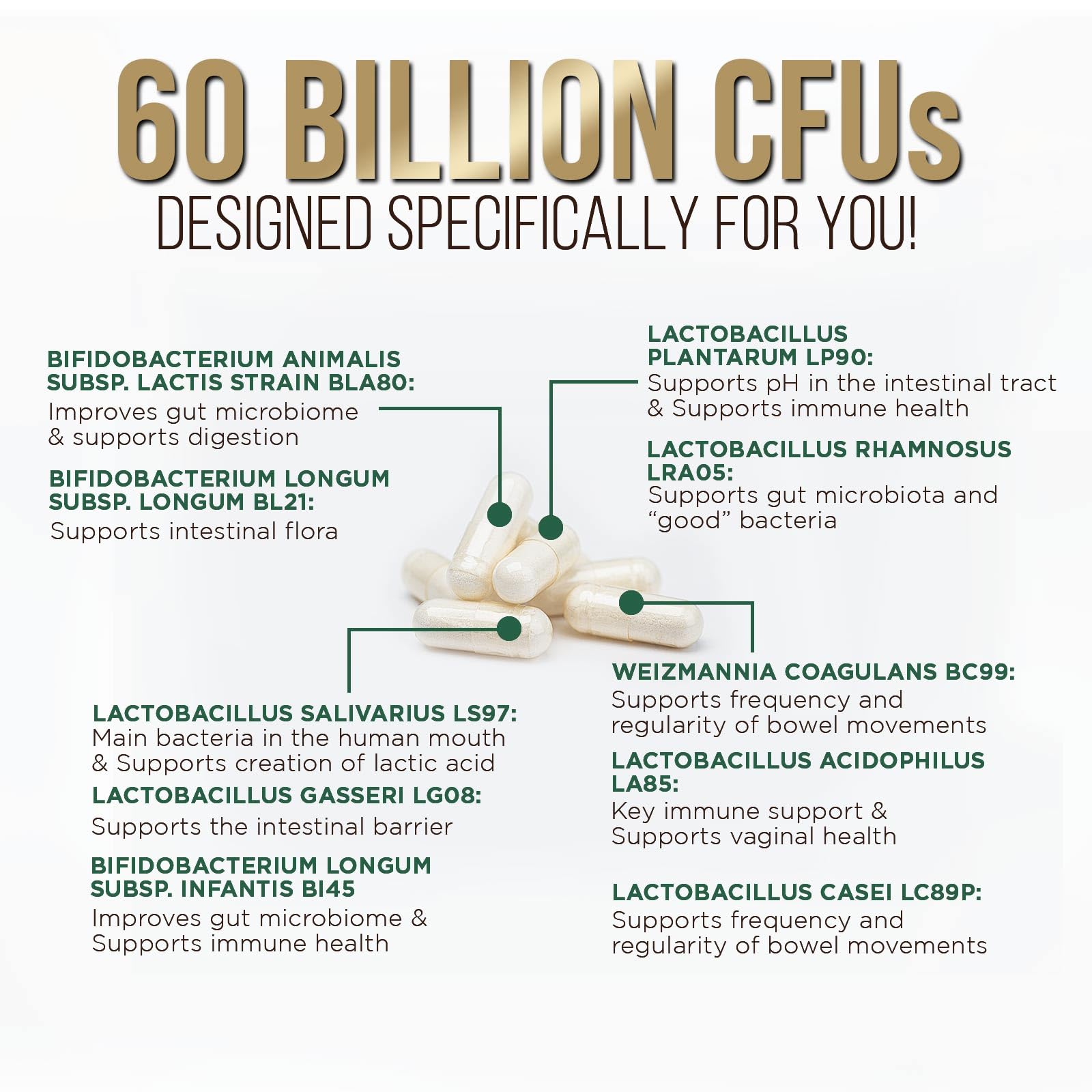 Daily Probiotic and Acidophilus Prebiotics Supplement 60 Billion CFU Capsule for Women & Men - 10 Strains Plus Digestive Enzymes - for Bloating Gas & Gut & Immune Health Support - 120 Capsules