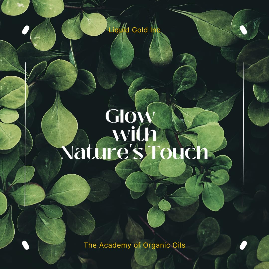 Liquid Gold Inc - 8 oz - Premium Aloe Vera Oil - 100% Pure Natural Organic Skin Hair Body Care