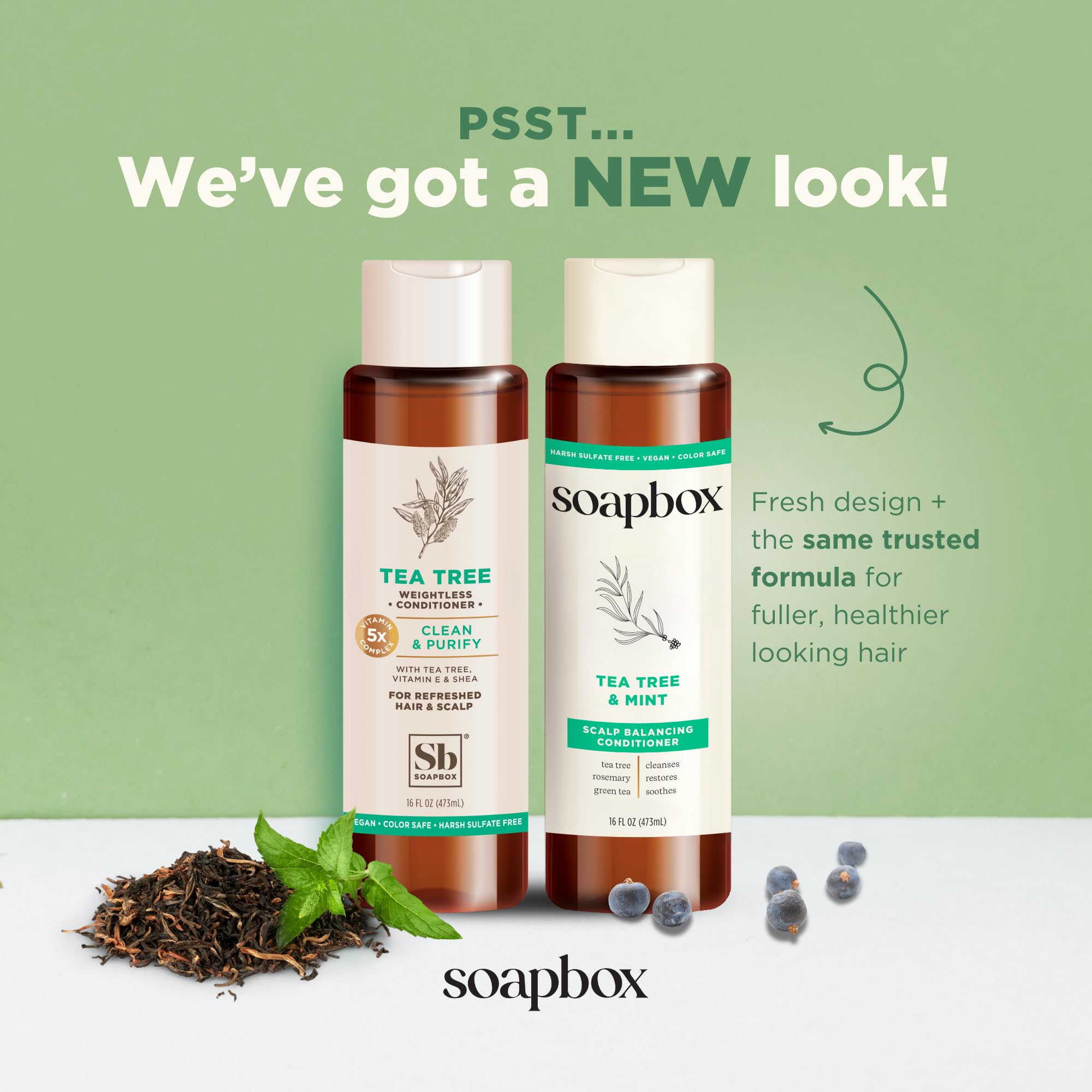 SoapBox Soaps Conditioner, Tea Tree with Shea Butter, 3 Count