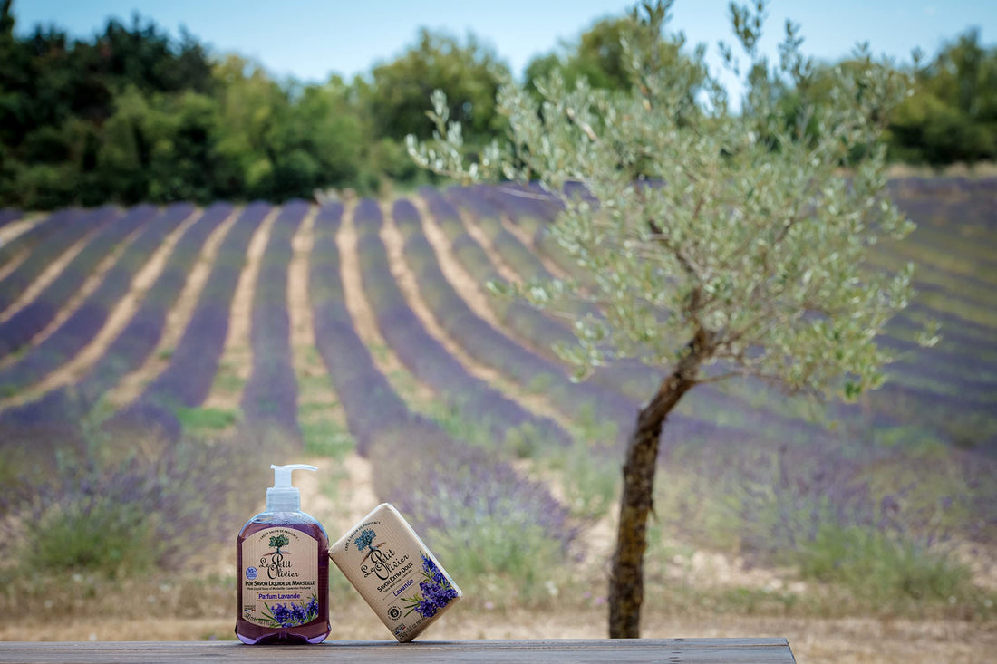 Senteurs Le Petit Olivier Extra Mild Lavender 8.8 Oz. Single Soap Bar From France