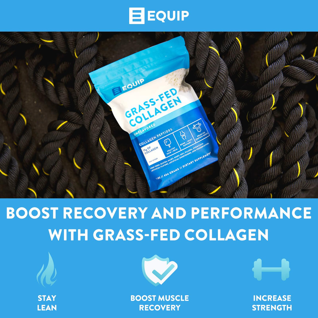 Equip Foods Grass Fed Collagen Powder | Hydrolyzed Bovine Collagen Peptides with Amino Acids | Prime Beef Collagen for Healthy Joints, Skin & Nails | Non-GMO, Paleo Friendly | 30 Servings, Unflavored