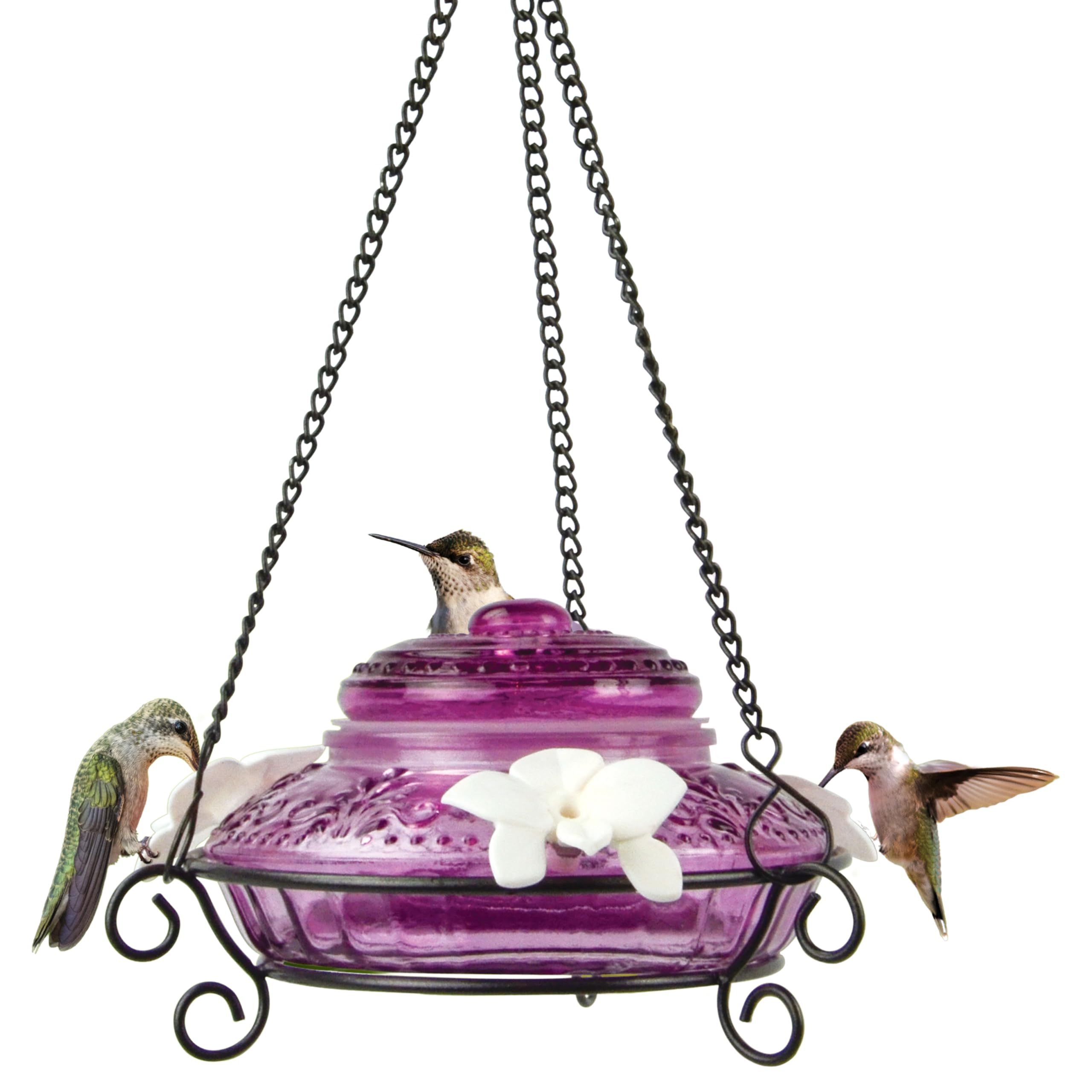 Nature's Way Bird Products ANTHF1 Antique Top-Fill Hummingbird Feeder
