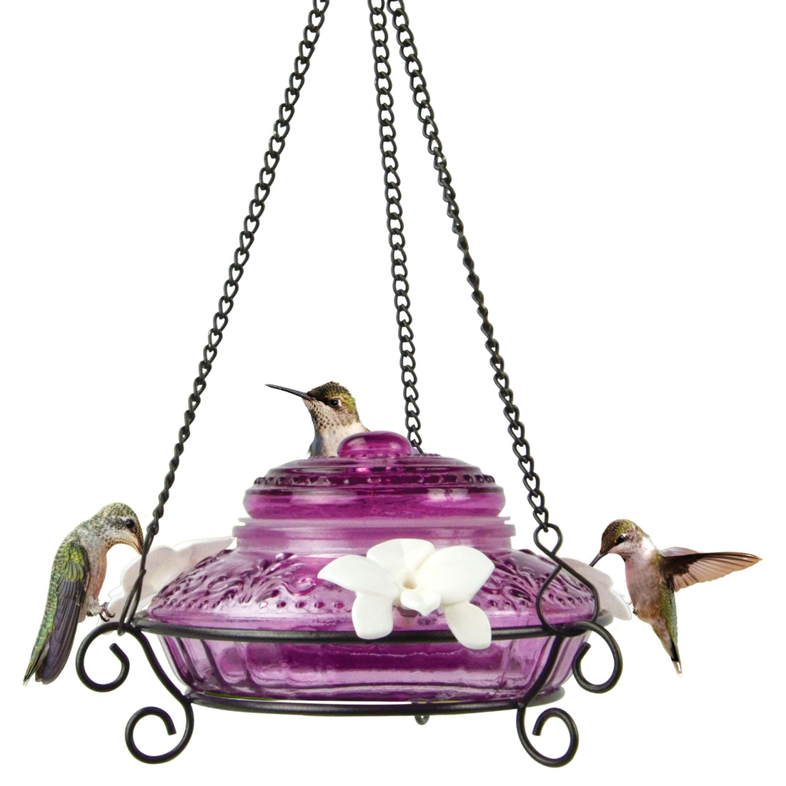 Nature's Way Bird Products ANTHF1 Antique Top-Fill Hummingbird Feeder