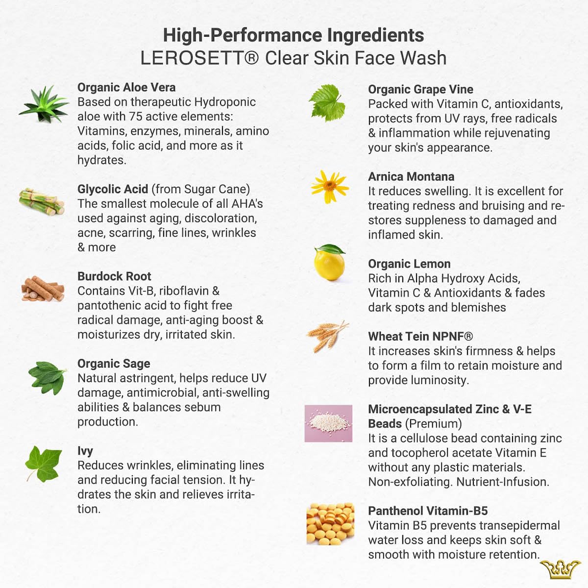 LEROSETT® Purifying (ClearSkin) Face Wash 6.7 oz-Based on Nutrient Rich Organic Aloe