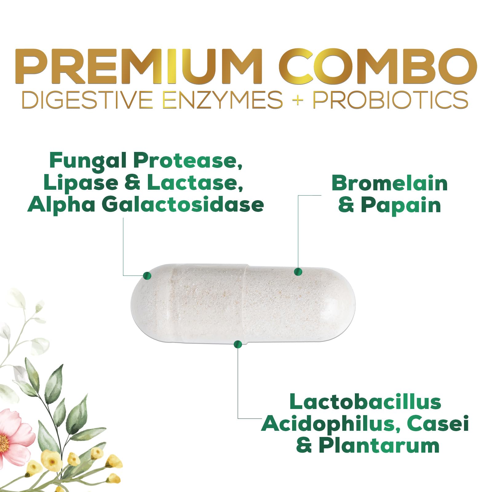 Digestive Enzymes with Probiotics - Probiotic Multi Enzymes with Probiotics and Prebiotics for Digestive Health and Bloating Relief for Women and Men, Daily Enzymes for Gut & Digestion - 120 Capsules