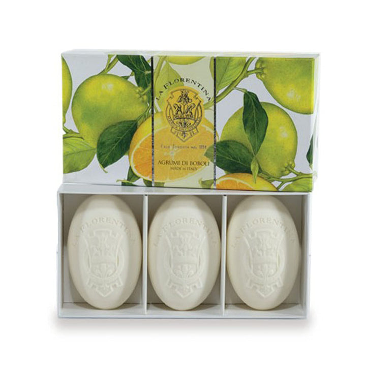 La Florentina: Iris Pallida Bar Soaps, Iris Pale Scent, Bellosguardo Collection - Soaps, 5.3 Ounces (150g) Each, Gift Box [ Italian Import ] by La Florentina