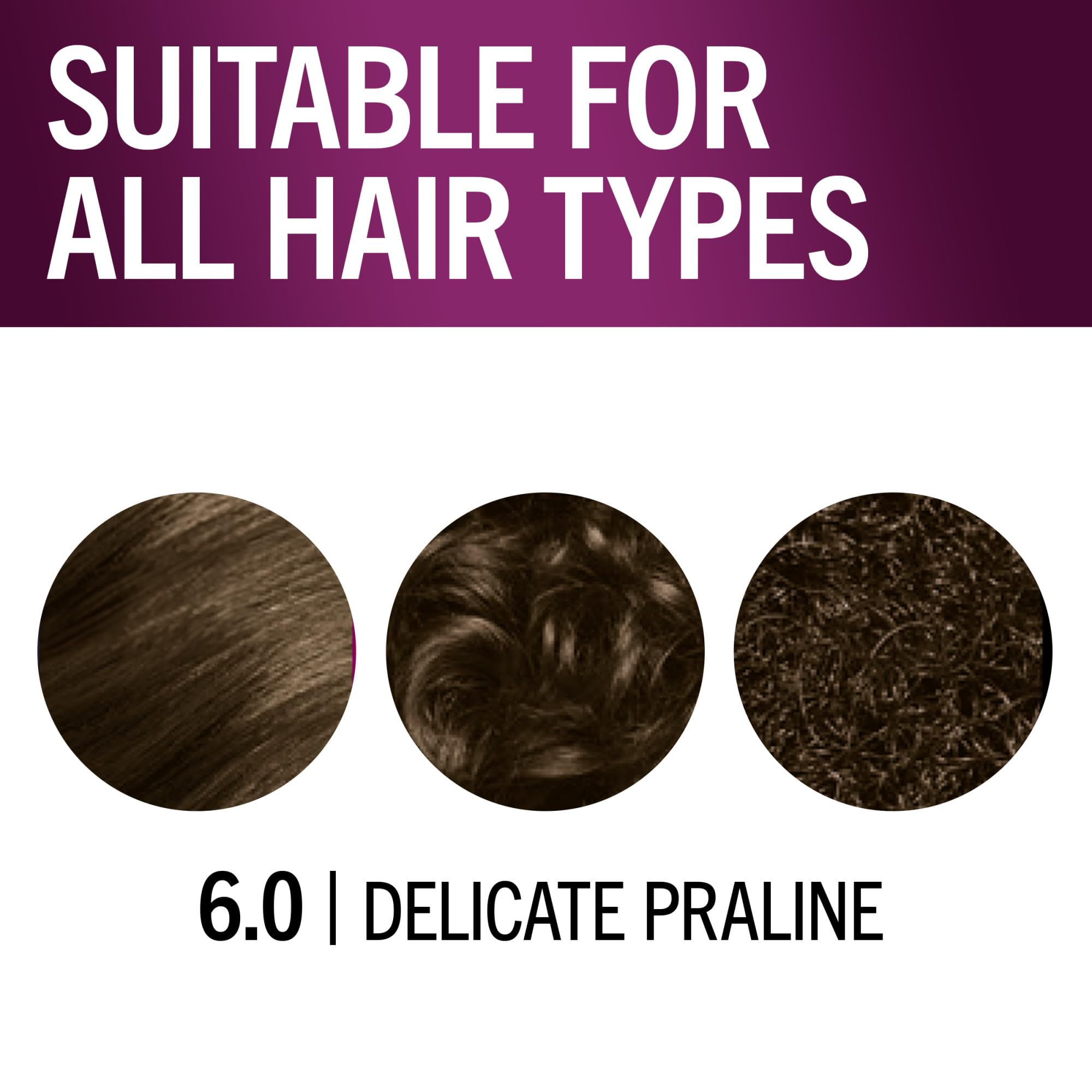 Schwarzkopf Keratin Permanent Hair Color, 6.0 Delicate Praline, 1 Application - Professionally Inspired Permanent Hair Dye, for up to 80% Less Breakage vs Untreated Hair and up to 100% Gray Coverage