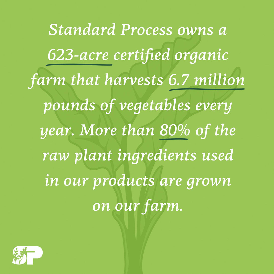 Standard Process Inc. Cataplex F - Whole Food Supplement, Thyroid Support, Metabolism, Skin Health, and Hair Health with Vitamin B6, Iodine, Flaxseed Oil - 90 Tablets