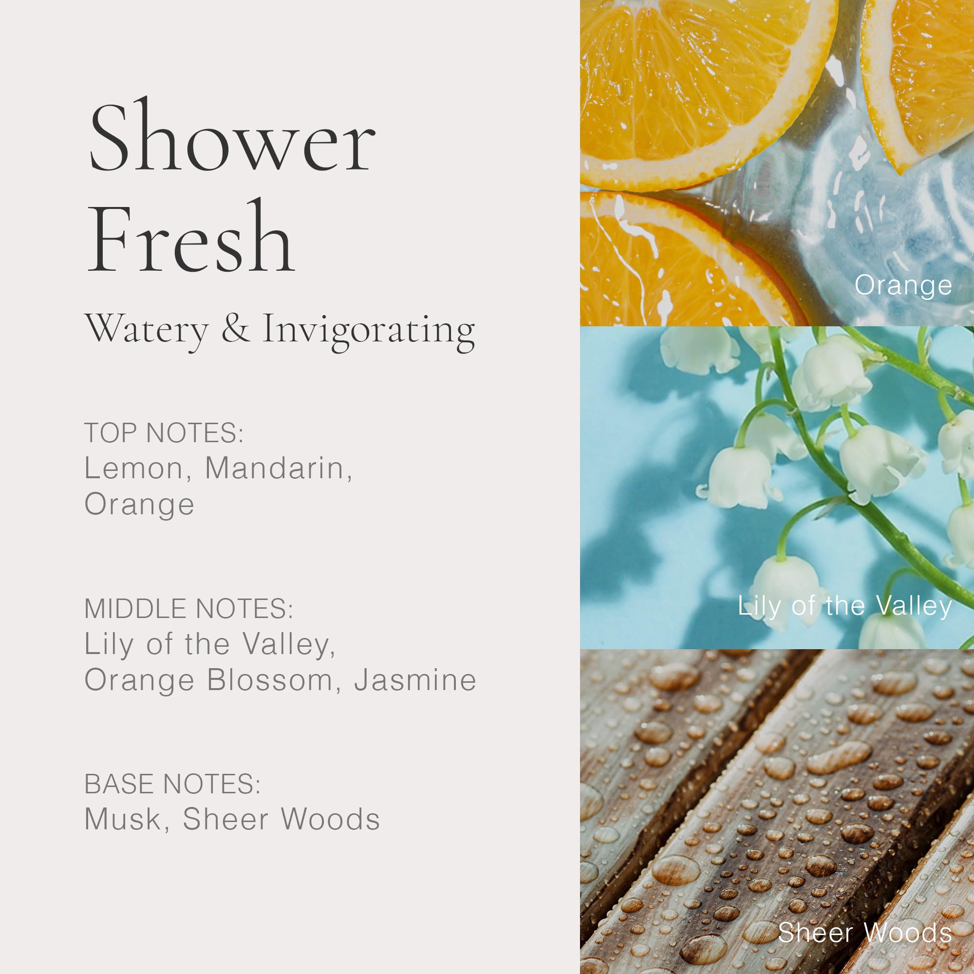 Clean Beauty Classic Shower Fresh Eau de Parfum (2022 IL) 30ml