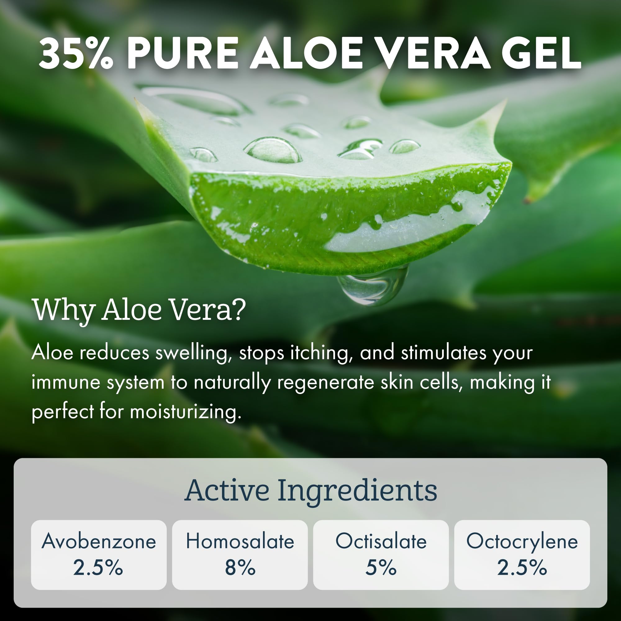 Aloe Up Sun and Skin Care Products For The Face SPF 25 Daily Facial Moisturizer, 1.7.
