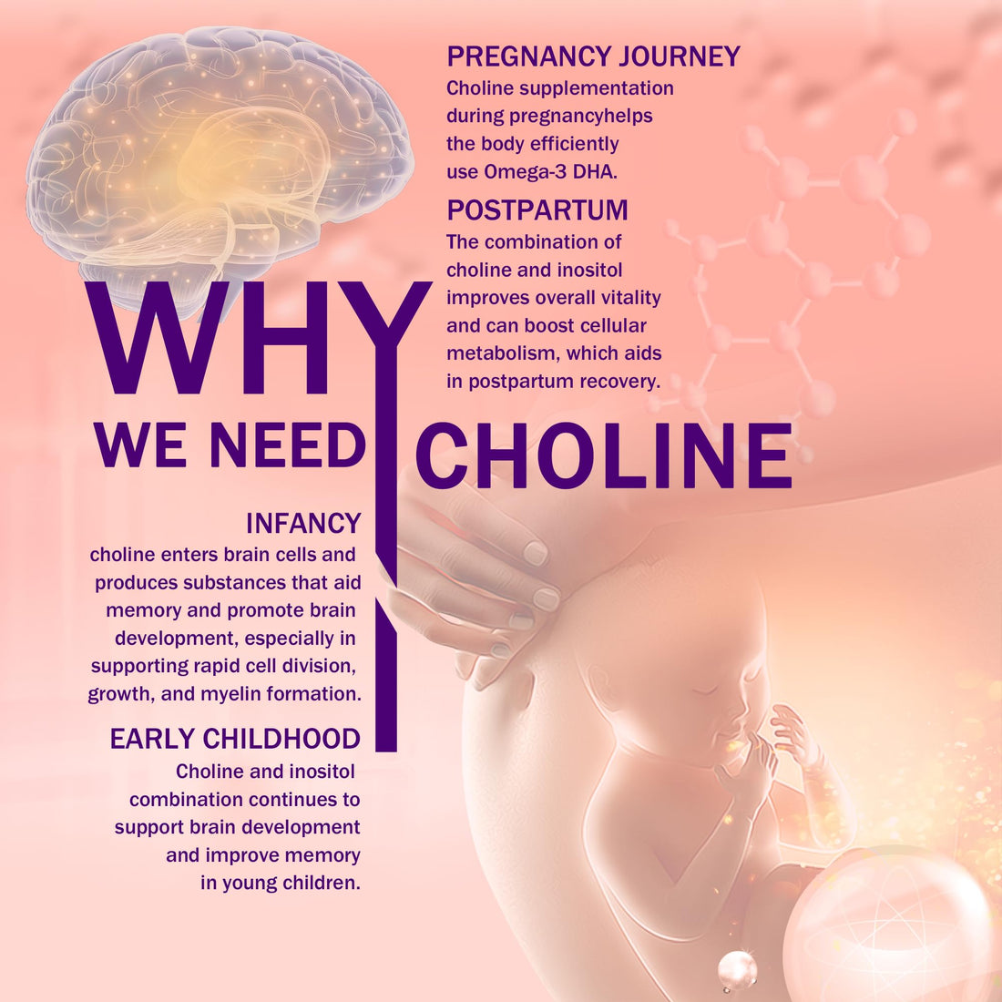 inGreens Prenatal Choline Supplement, 500mg, with Inositol, B1, B6, Brain Development in Utero/Early Life, Increase The Choline Content in Breast Milk,30 Day Supply