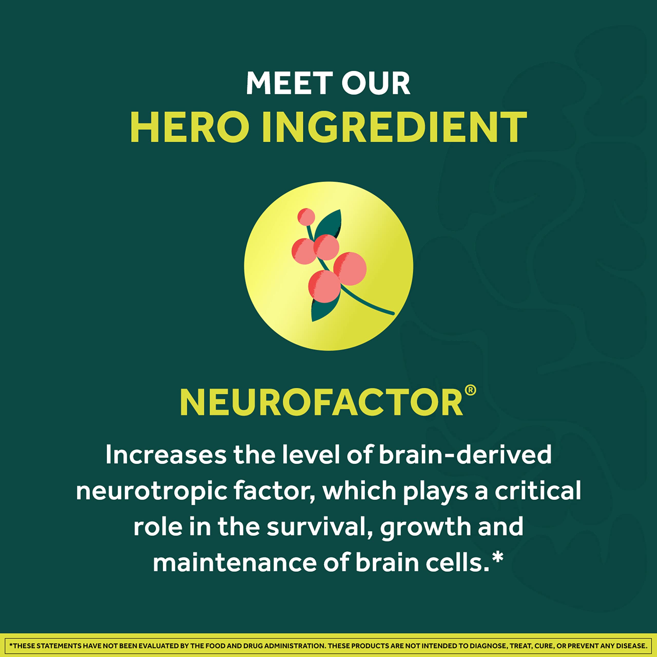 NEURIVA Brain + Energy Gummies, Nootropic Brain Supplements for Focus and Concentration with Neurofactor, Vitamin B12 & Caffeine for an Energy Boost*, 75ct Natural BlackBerry