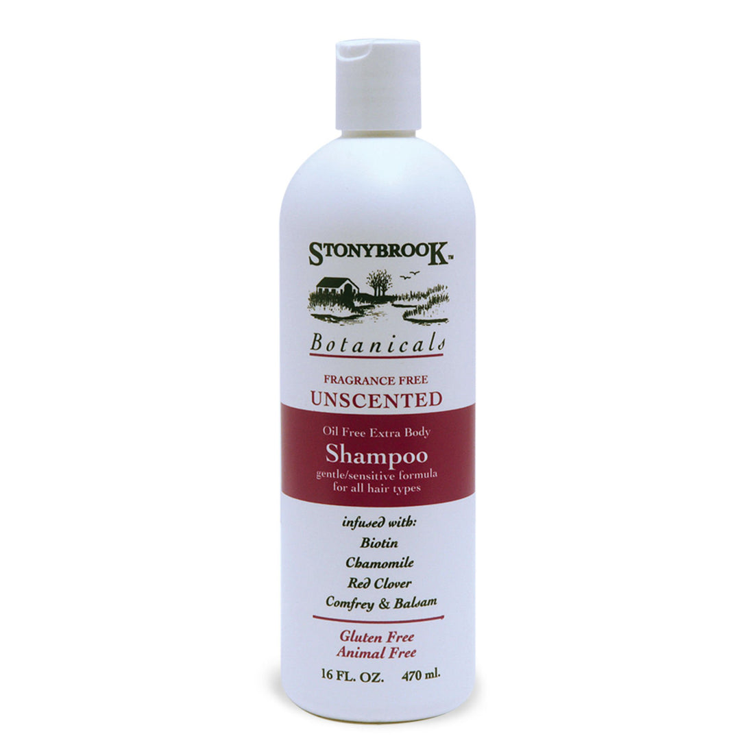 Stony Brook Unscented Shampoo ( 1x16 OZ)