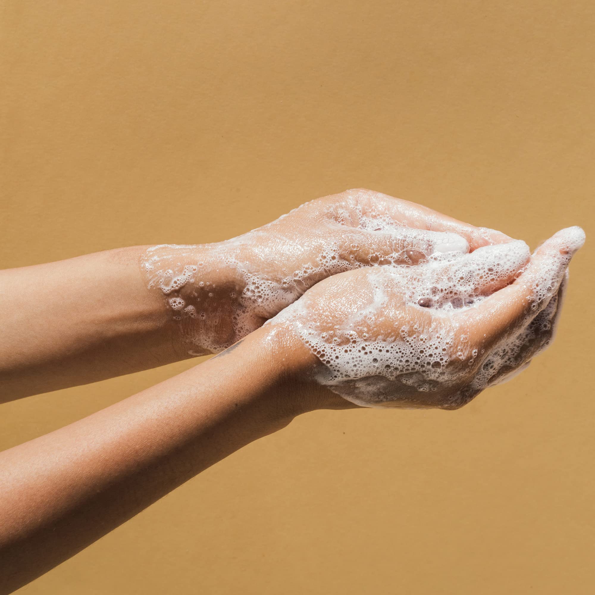 Pattern Hydration Shampoo 9.8 Fl. Oz! Blend Of Aloe Vera Leaf Juice, Coconut Oil & Honey! Creamy And Luxurious Shampoo For Curlies, Coilies & Tight Textures! Gently Cleanses & Hydrates Hair!