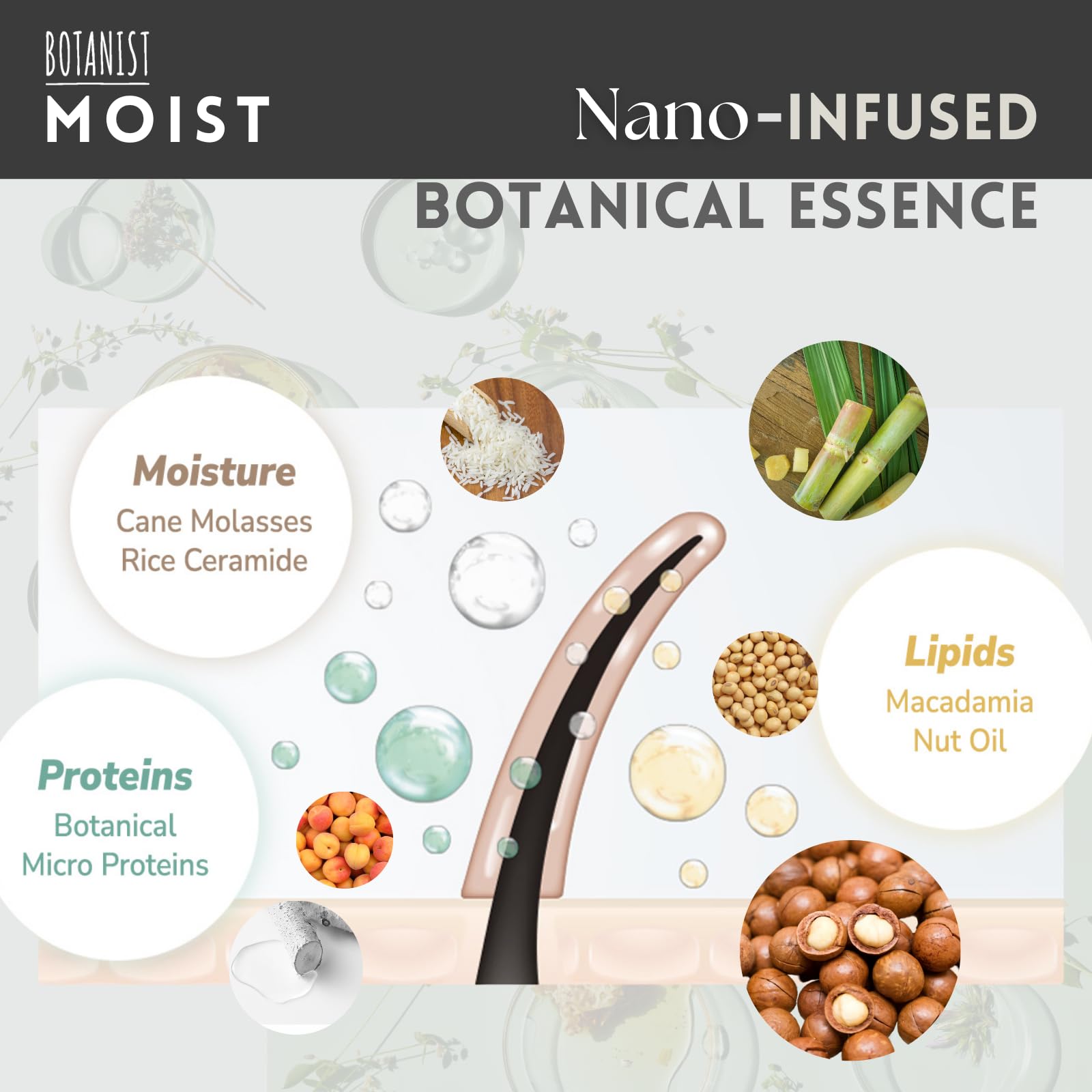 Botanist Organic Shampoo for Dry & Damaged Hair Women & Men, Keratin Shampoo with Natural Collagen, Macadamia Nut Oil& Rice Ceramide from Japan, Sulfate & Silicone Free, Apricot& Jasmine, 15.5 Fl Oz