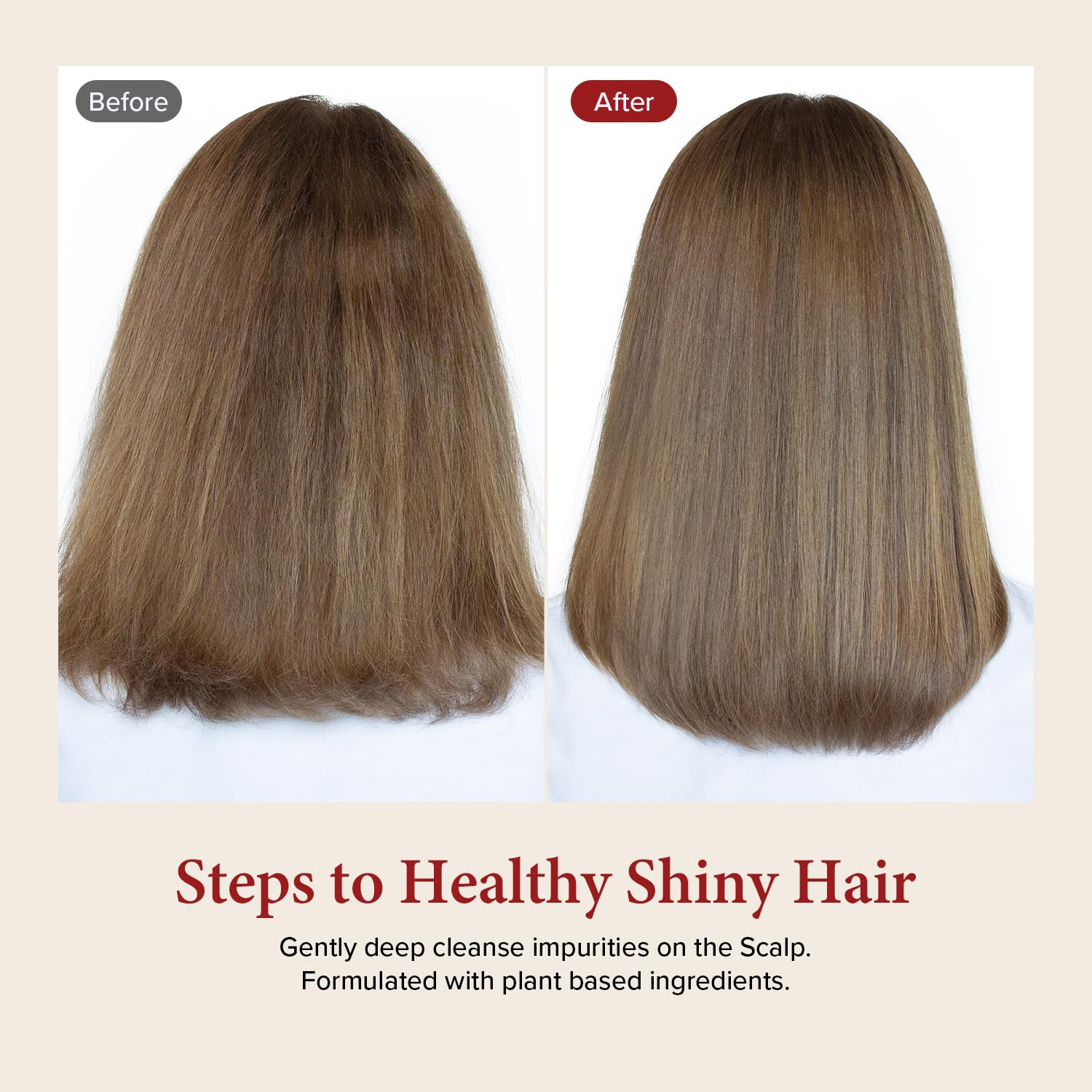 KUNDAL Honey & Macadamia Shampoo [Ylang Ylang] Korean Perfume Shampoo Damage Repair Strengthen, Nourish dry, with Honey, Argan Oil, Macadamia Oil, Free Paraben & Sulfate 10.14 fl oz