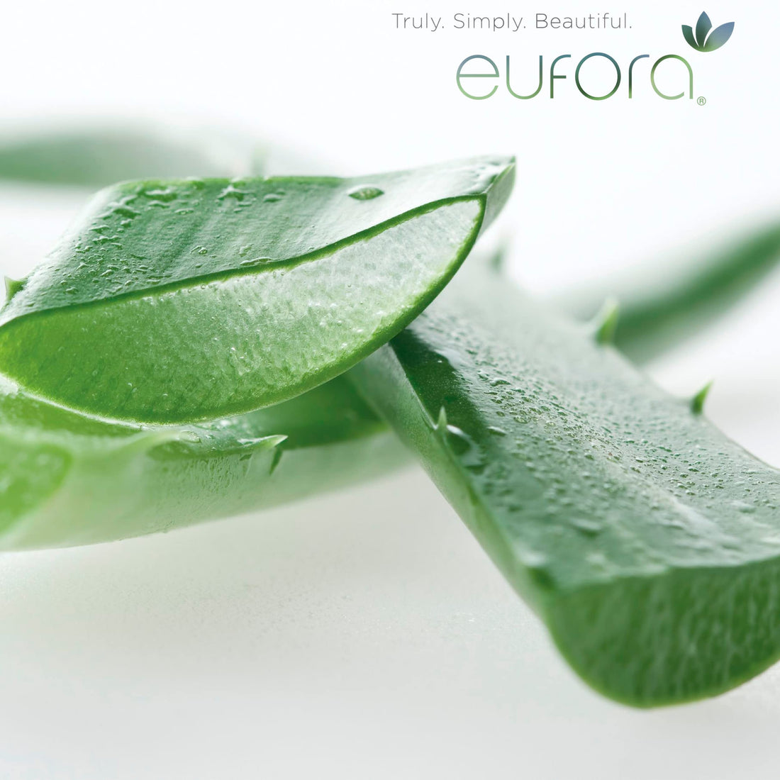 Eufora Aloe Therapy Soothing Conditioner 16.9oz