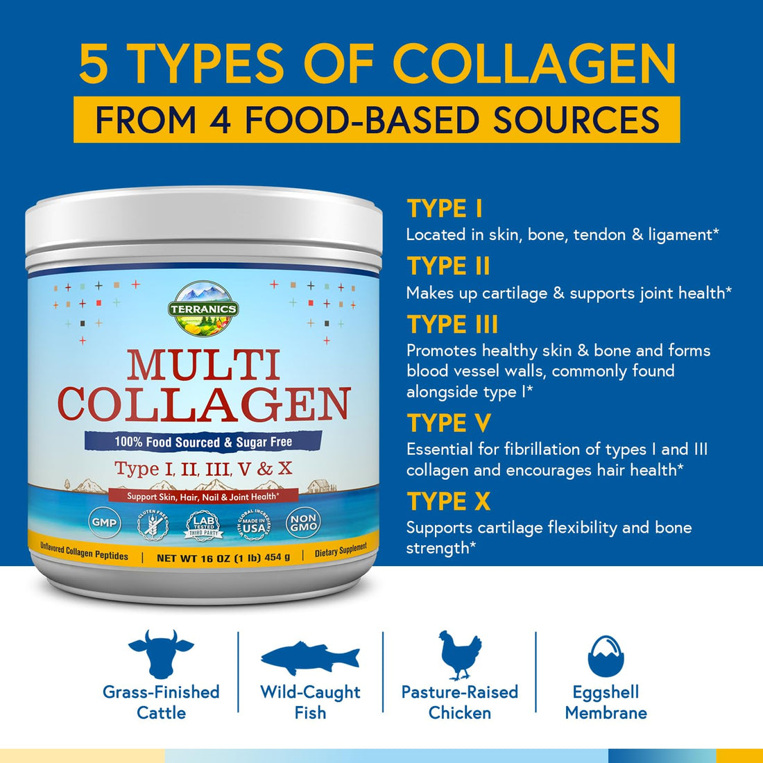 Terranics Multi Collagen Peptides Powder, Type I II III V X Hydrolyzed Collagen for Women+Men, Collagen Supplements for Skin Nail Hair & Joint, Fast Dissolve, Unflavored Colageno, No Sugar, Keto, 16oz