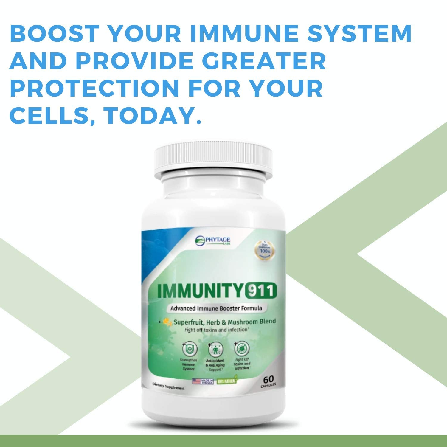 Phytage Labs Immunity 911 Supplement - with Natural Ingredients Like Turmeric, Vitamin C, B6, E, Zinc - High Potency Immune Support -60 Capsules