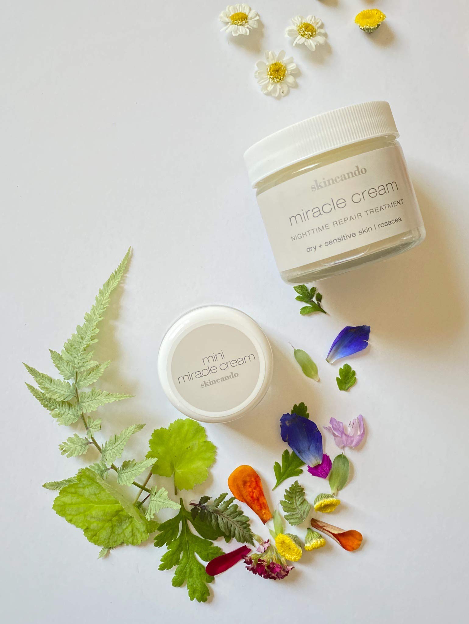 MIRACLE MOISTURIZER CREAM by Skincando 2 0z - All Natural - Organic - Intensive Moisturizer - Contains Organic Apricot Kernel Oil - Grapefruit Seed Extract - Lavender Essential Oil - Spearmint Oil