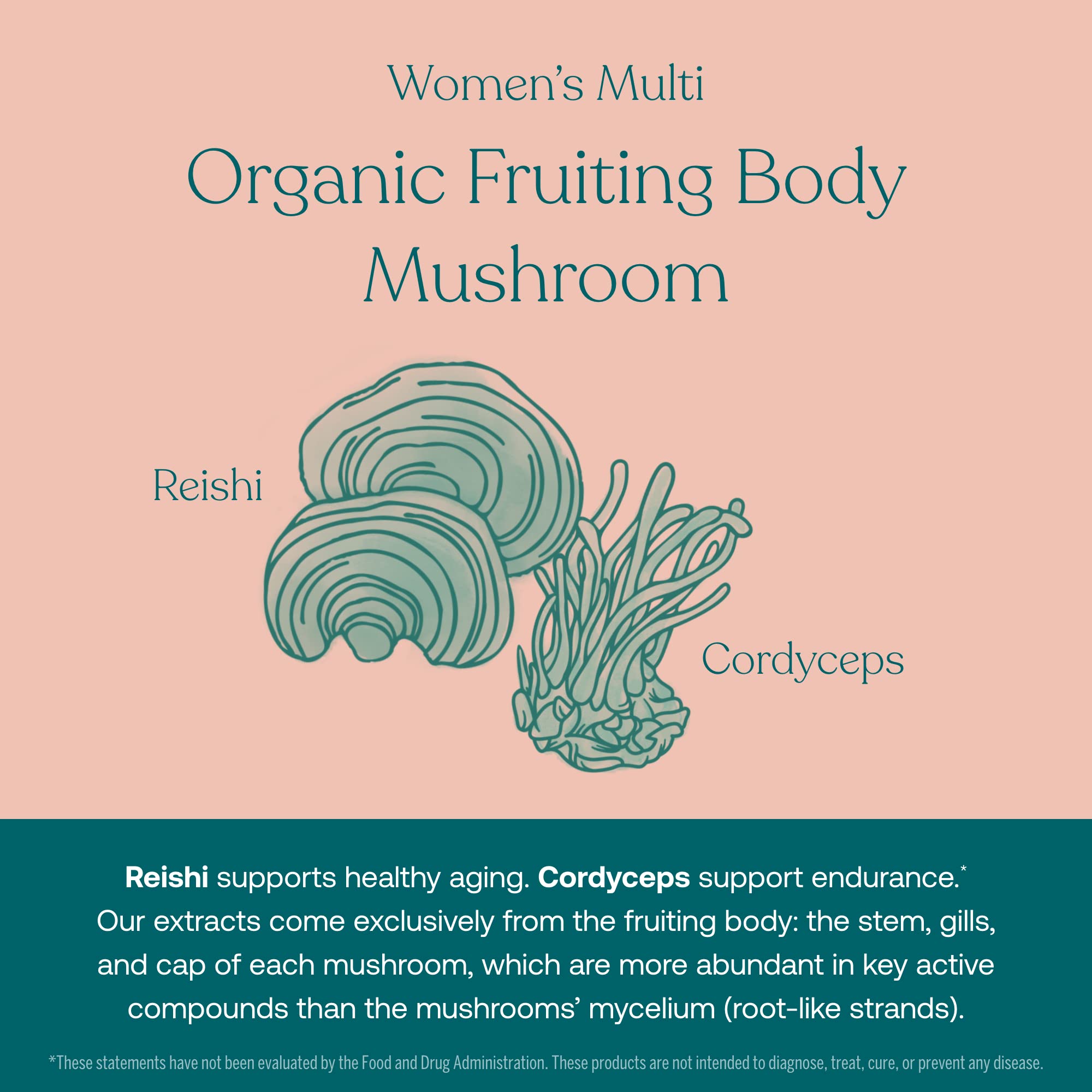True Grace One Daily Women’s Multivitamin (30 Vegan Tablets) & One Daily Women’s Probiotic (30 Vegetarian Capsules) - Gluten Free, Soy Free, Organic - 30-Day Supply of Each