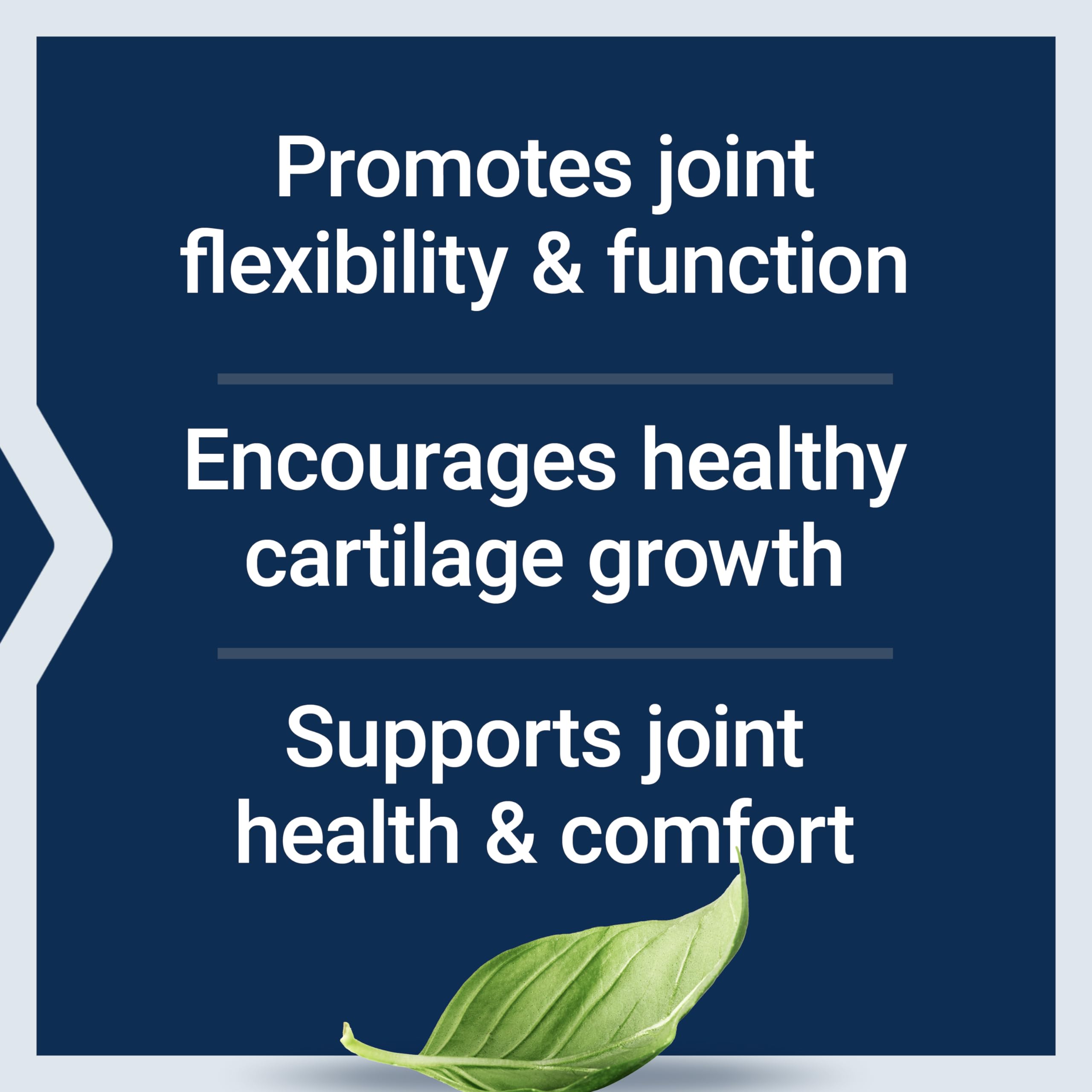Life Extension NT2 Collagen™, Joint Health Supplement for Joint Comfort & Mobility, Gluten-Free, Non-GMO, 1 Daily, 60 Small Capsules