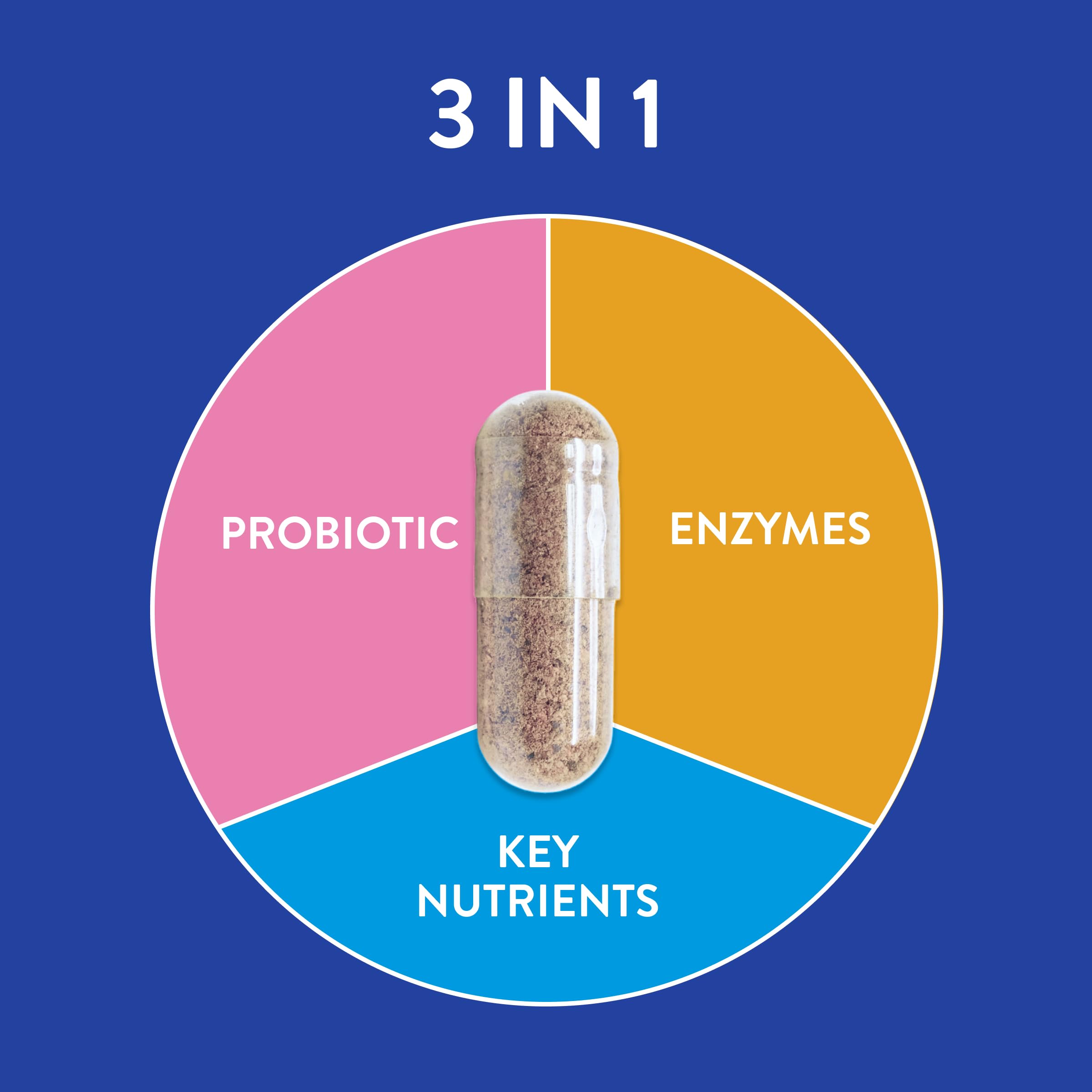 FRISKA Men’s Daily Digestive Enzyme and Probiotics Supplement, Natural Support for Male Digestive Health, Bloating, Gas, Indigestion Relief, Supports Gut Health, Lactase and B-Vitamins, 30 Capsules
